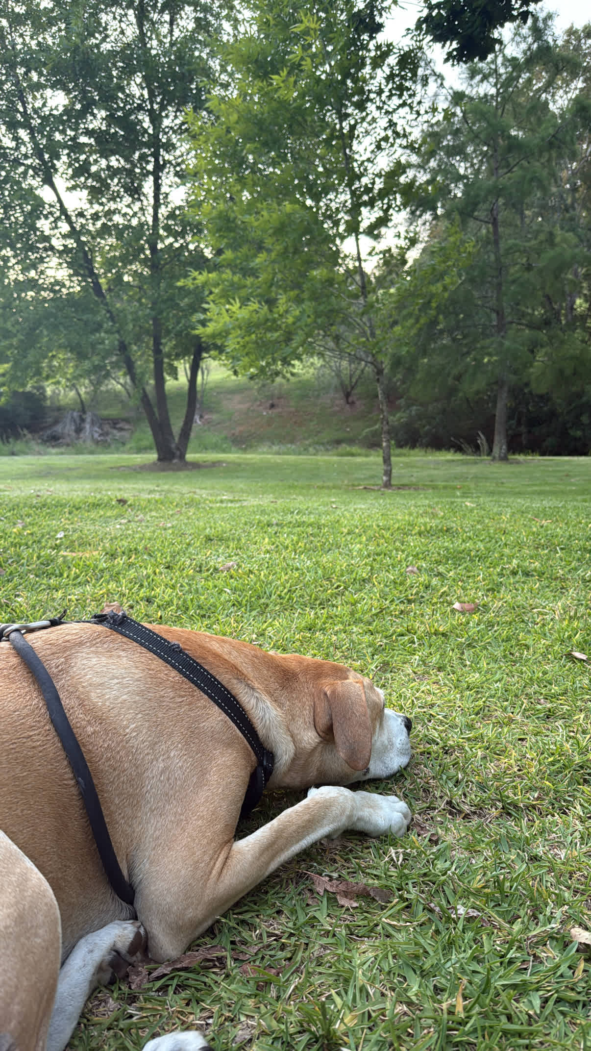 Parkers Place Gardens