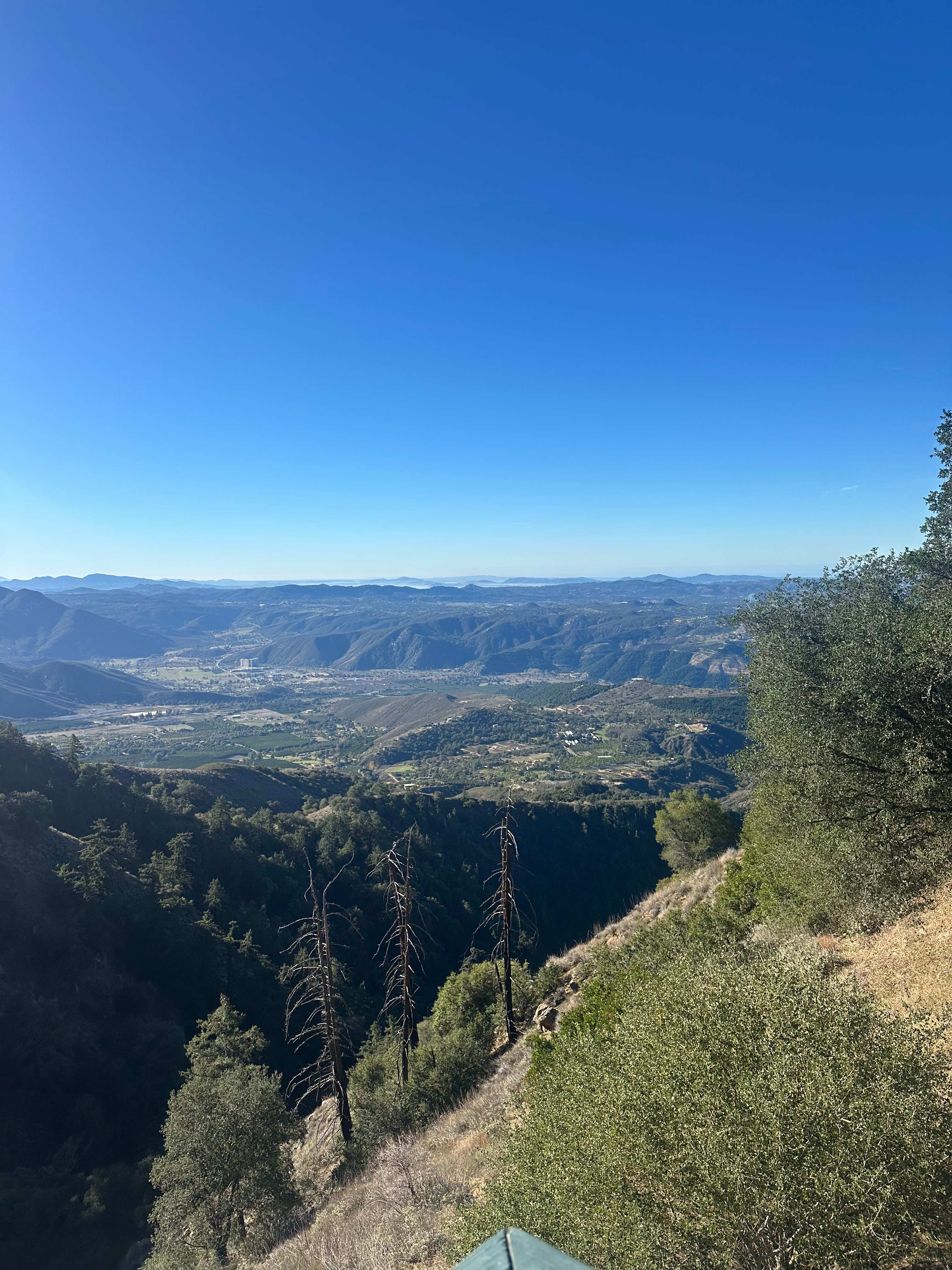 Magical Harrison Serenity Ranch