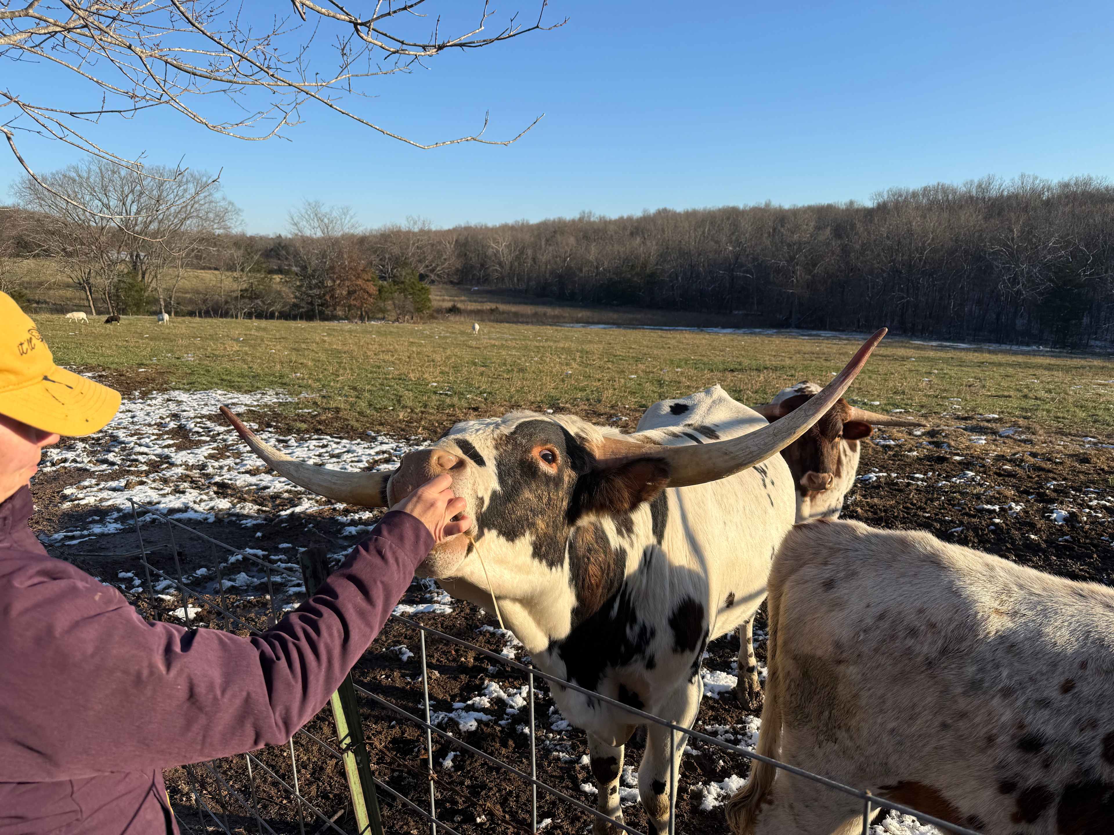 Misfit Acres at Kind Rebellion Farm