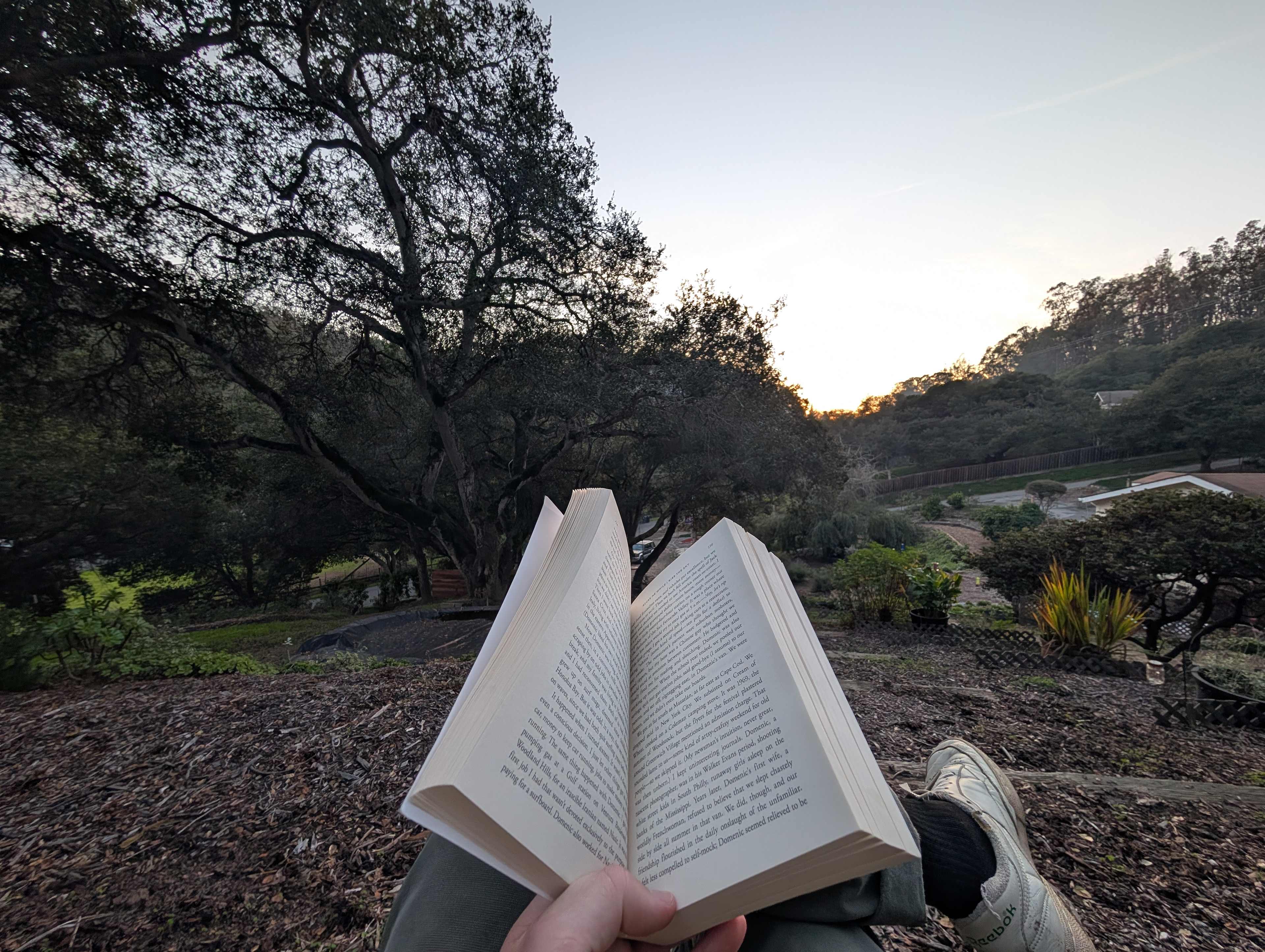 Vega Vortex-Gaia Health Retreat