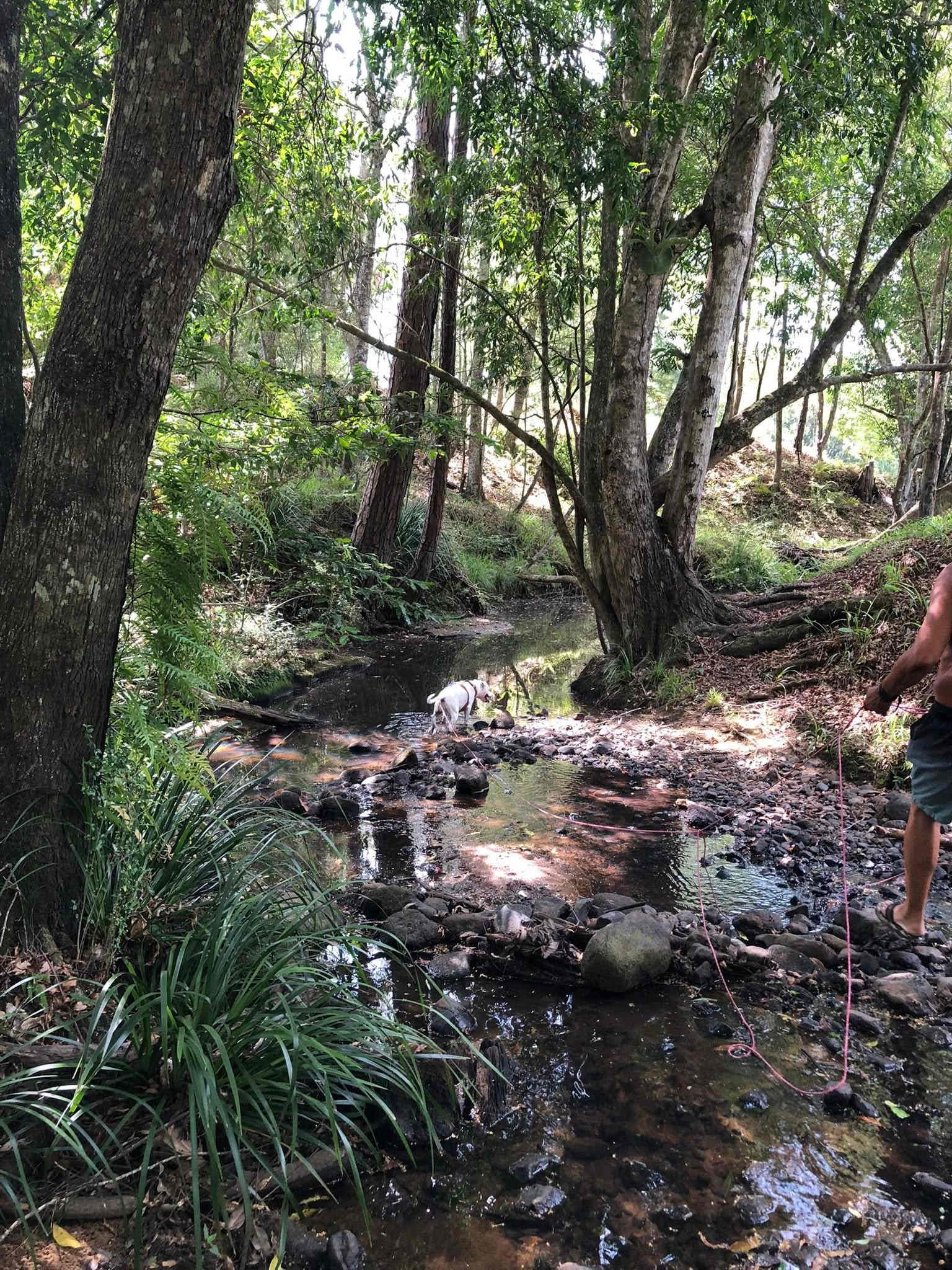 Exploring the delightful creek