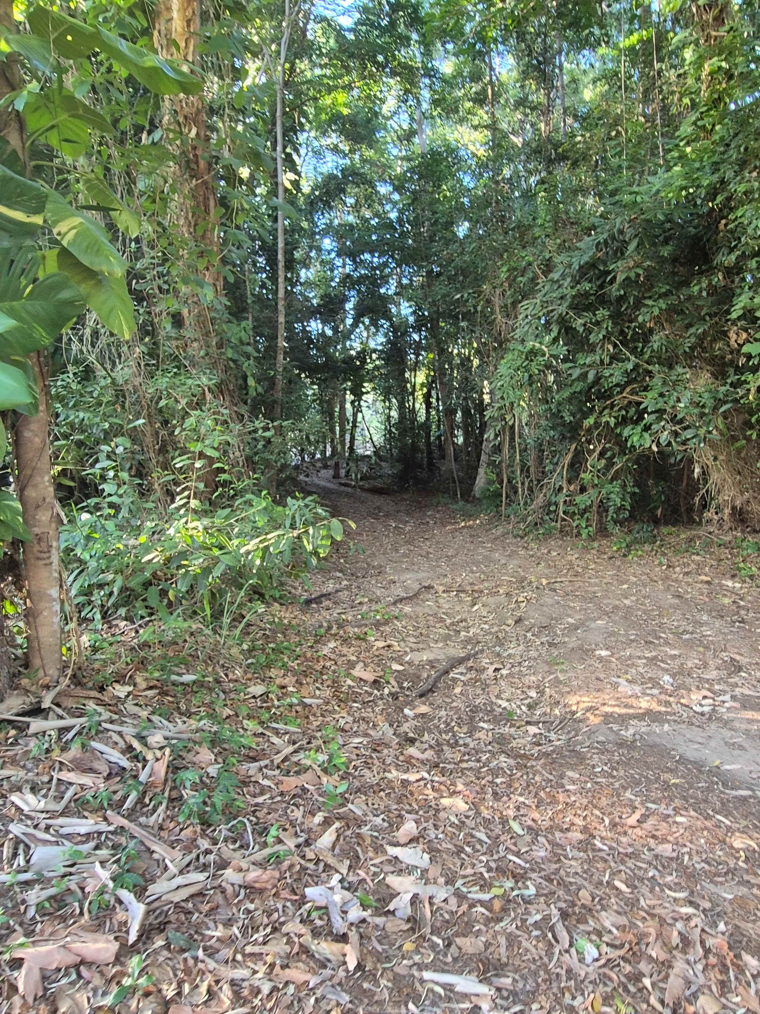 Crystal Creek Nywaigi Camp Grounds