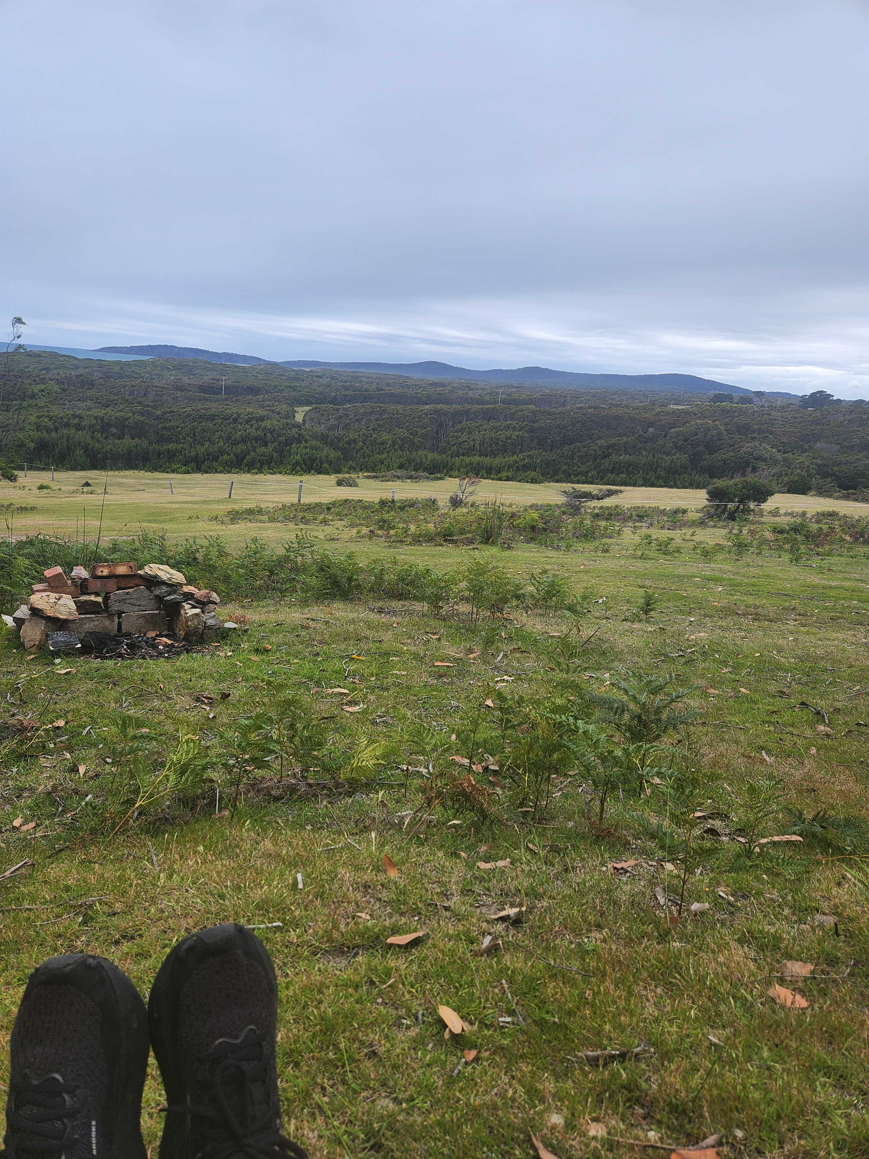 Just pure fresh air...