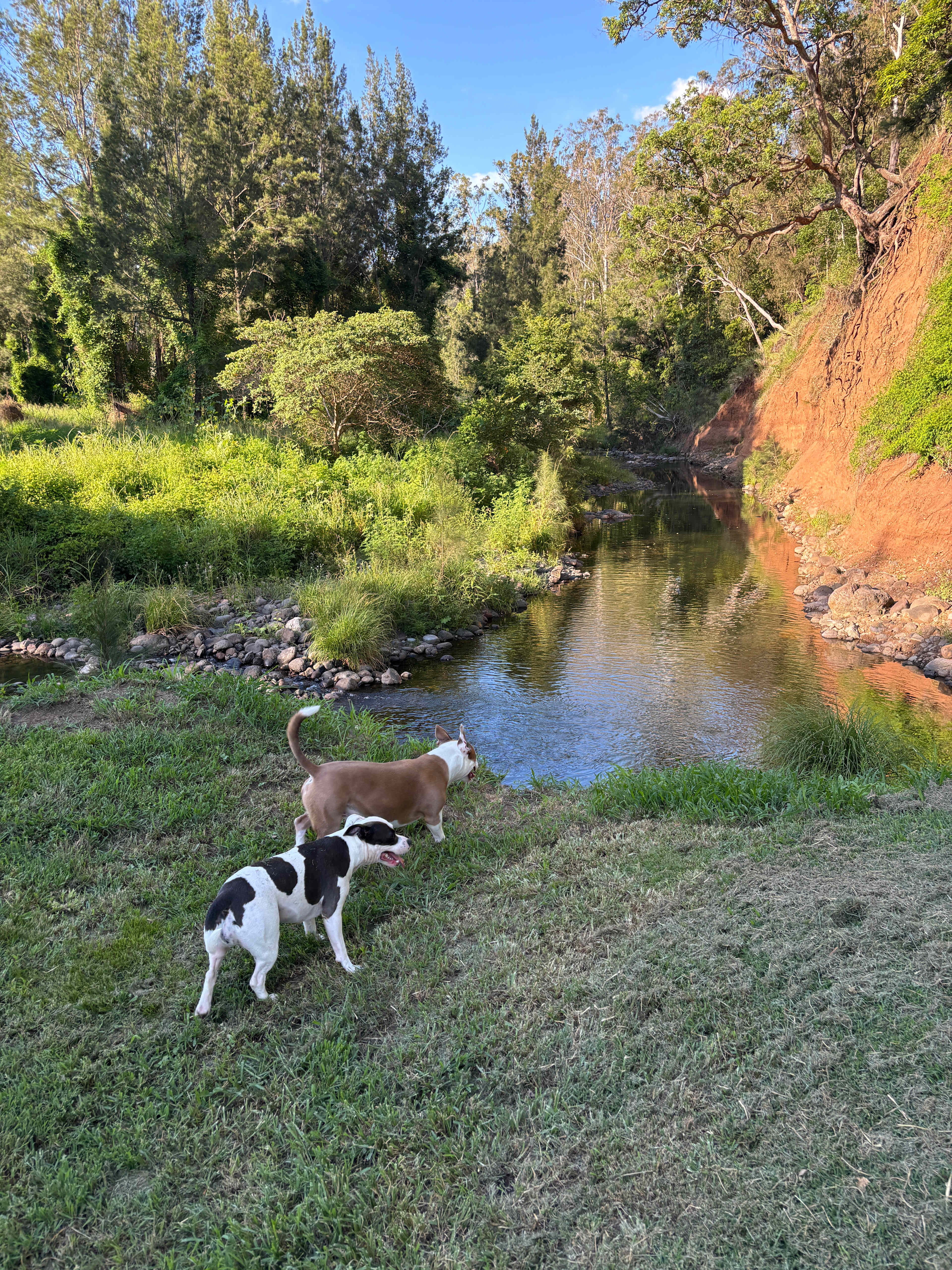 Christmas Creek Cedar Cabin & Camp