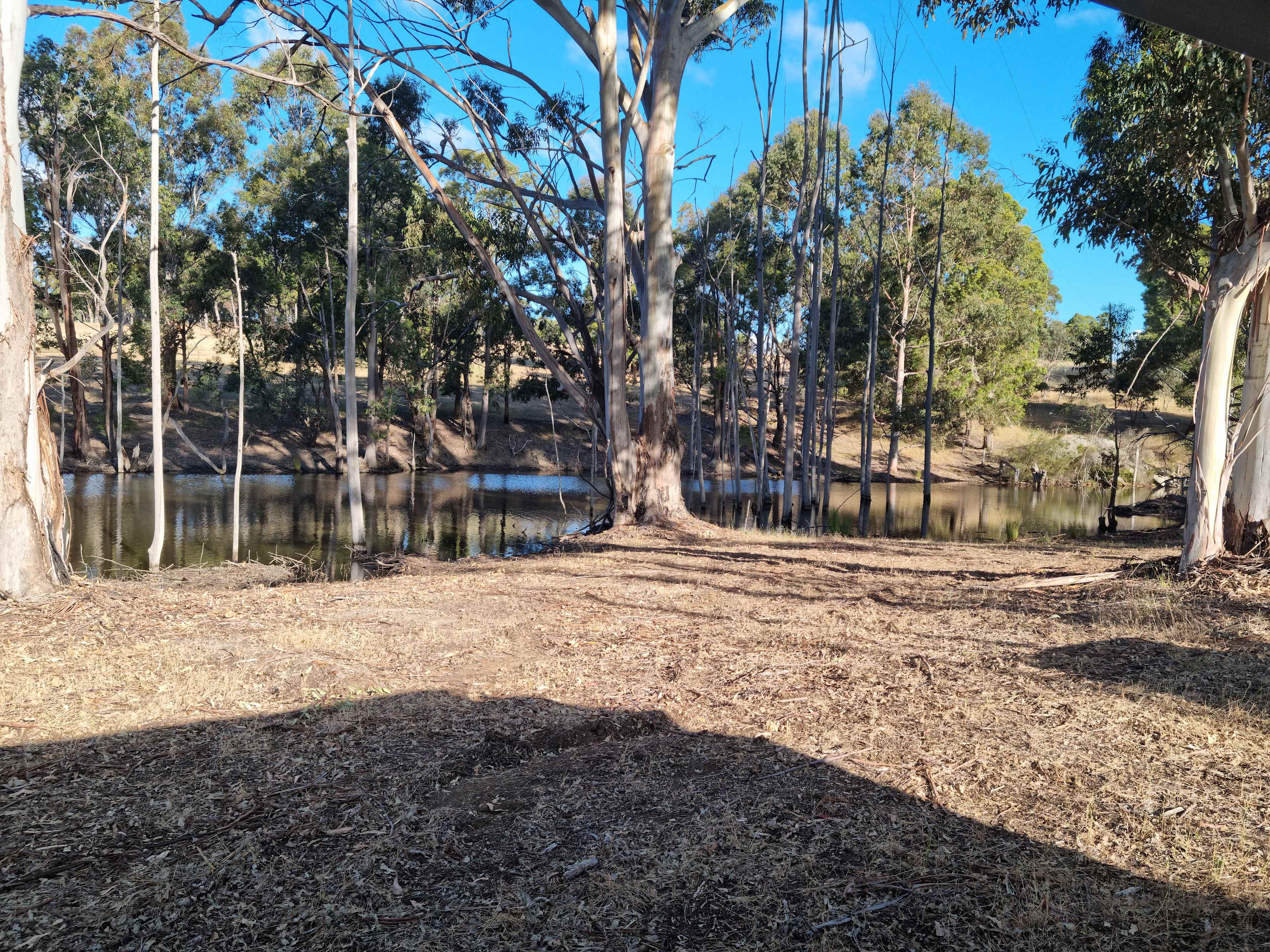 La Fiumara Olive Farm