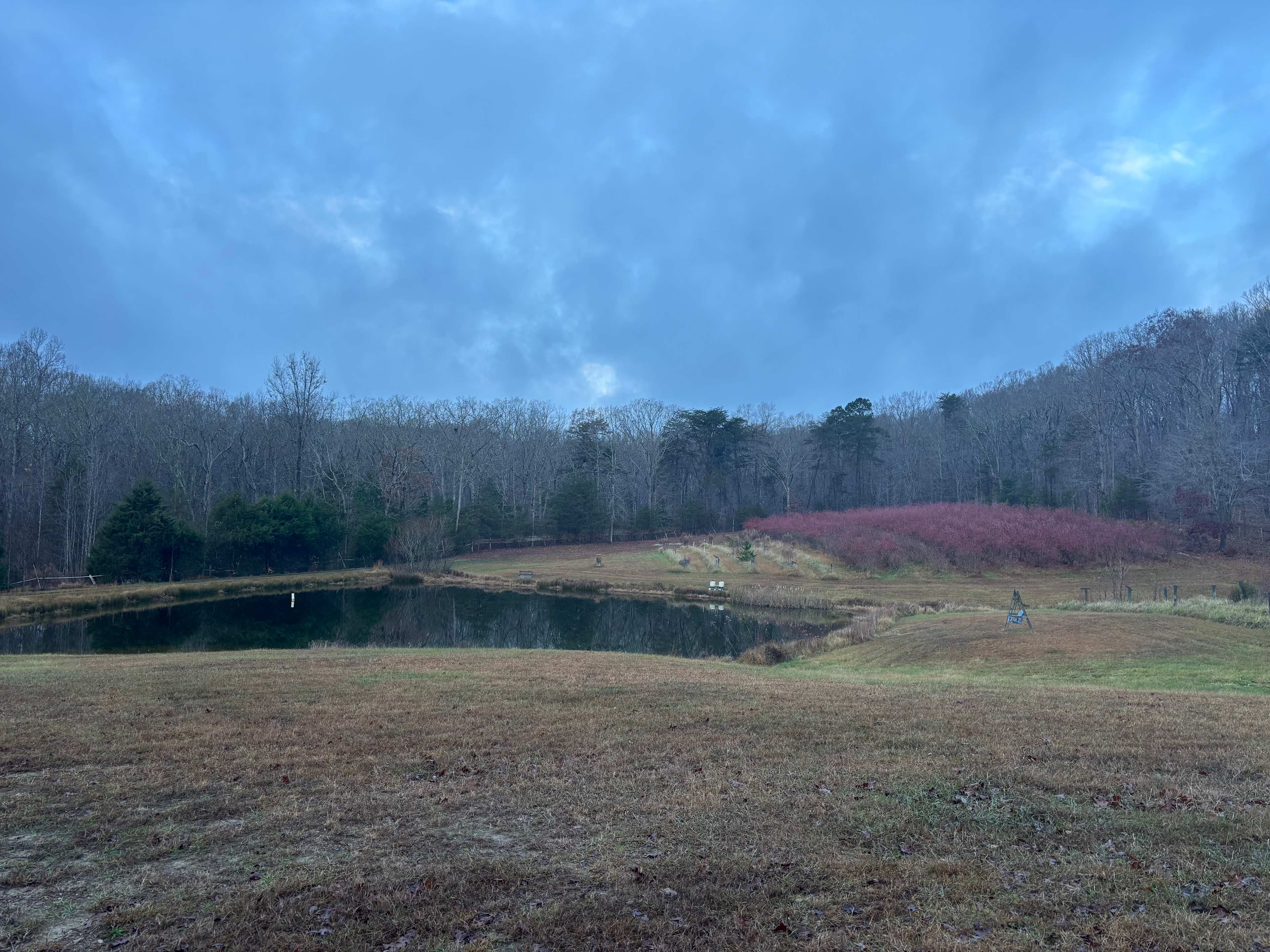 Private meadow and pond