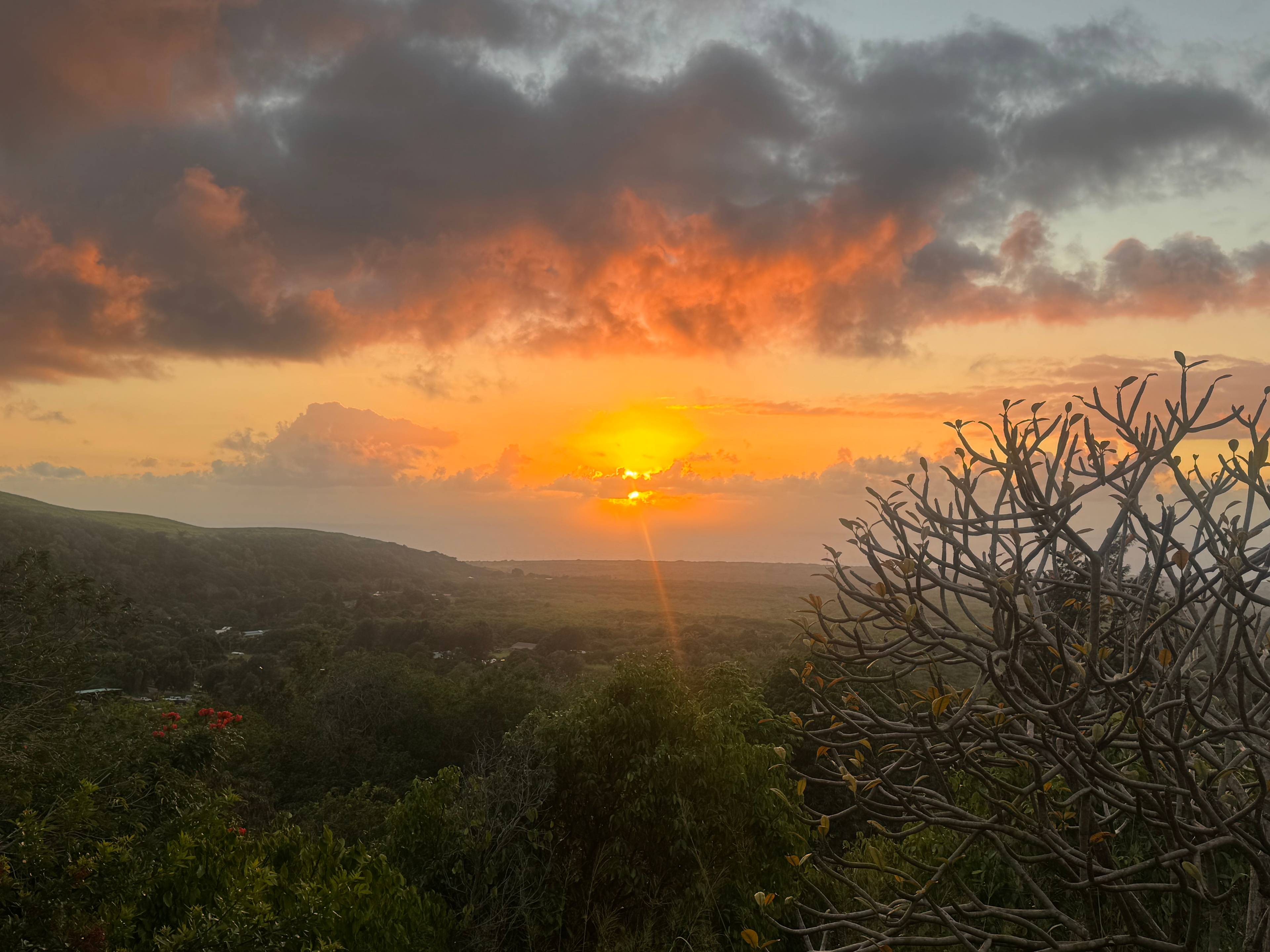 Sunset view from room!