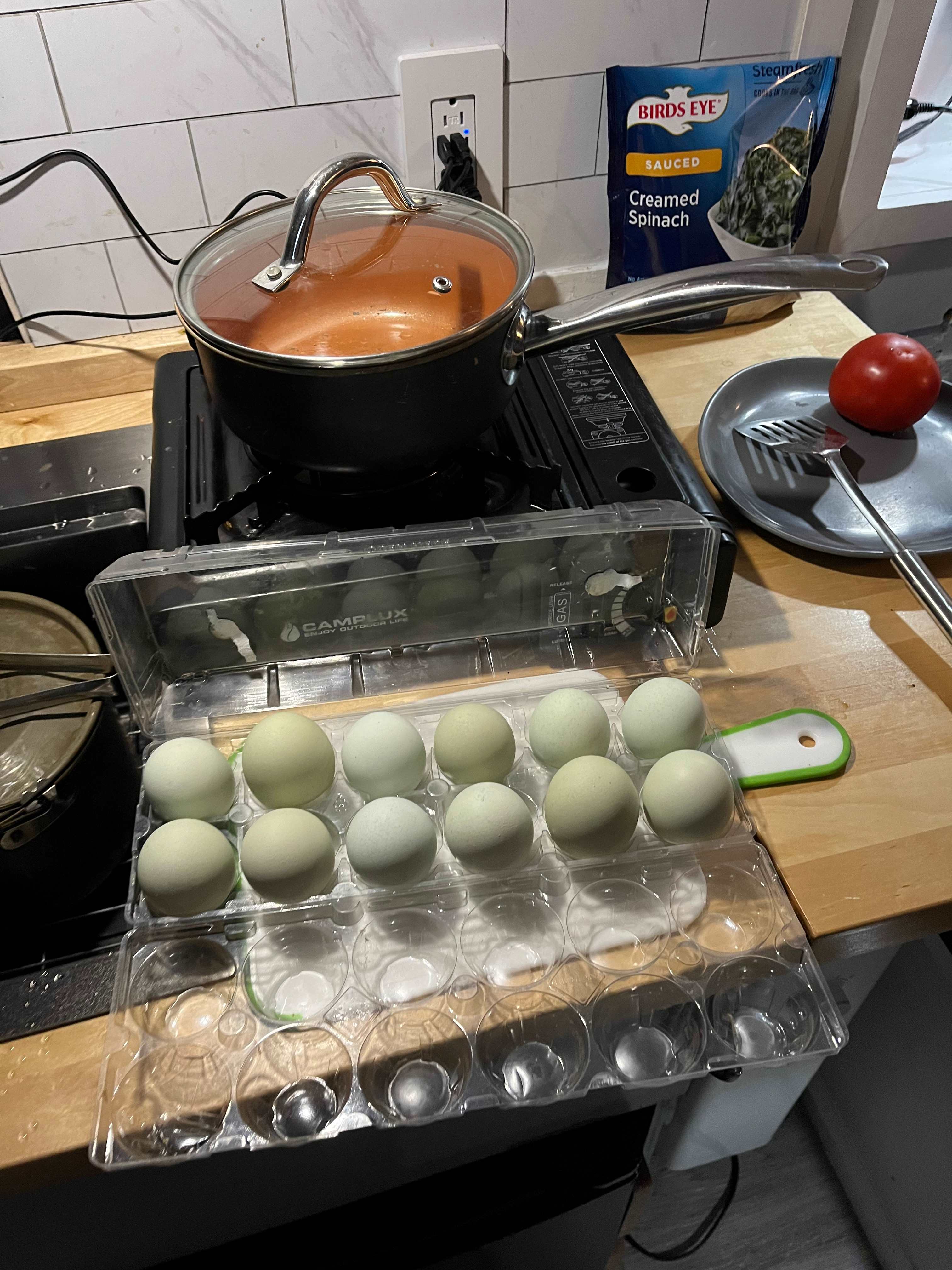 Fresh eggs to enjoy!