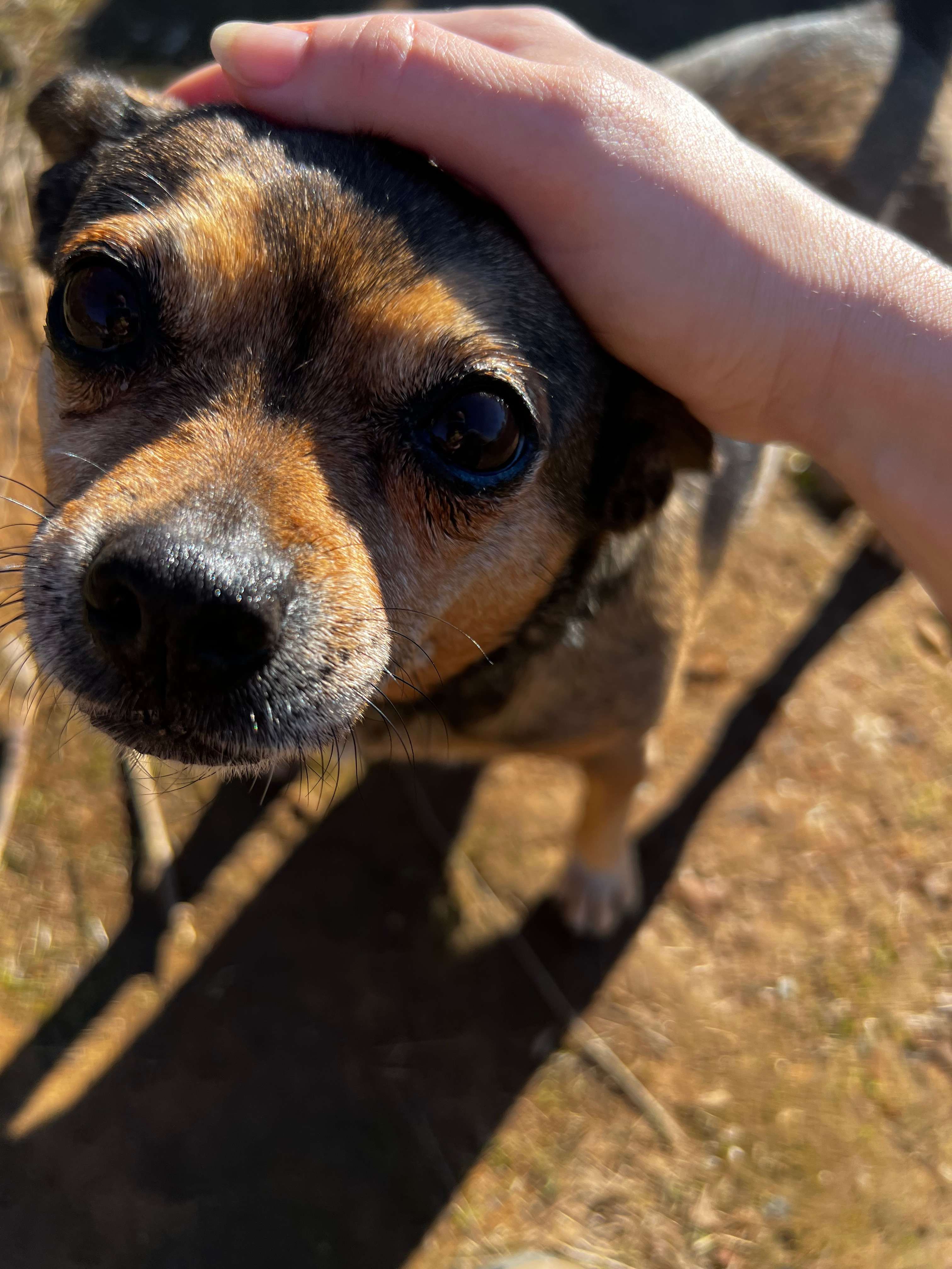 Gaia Farm Campground