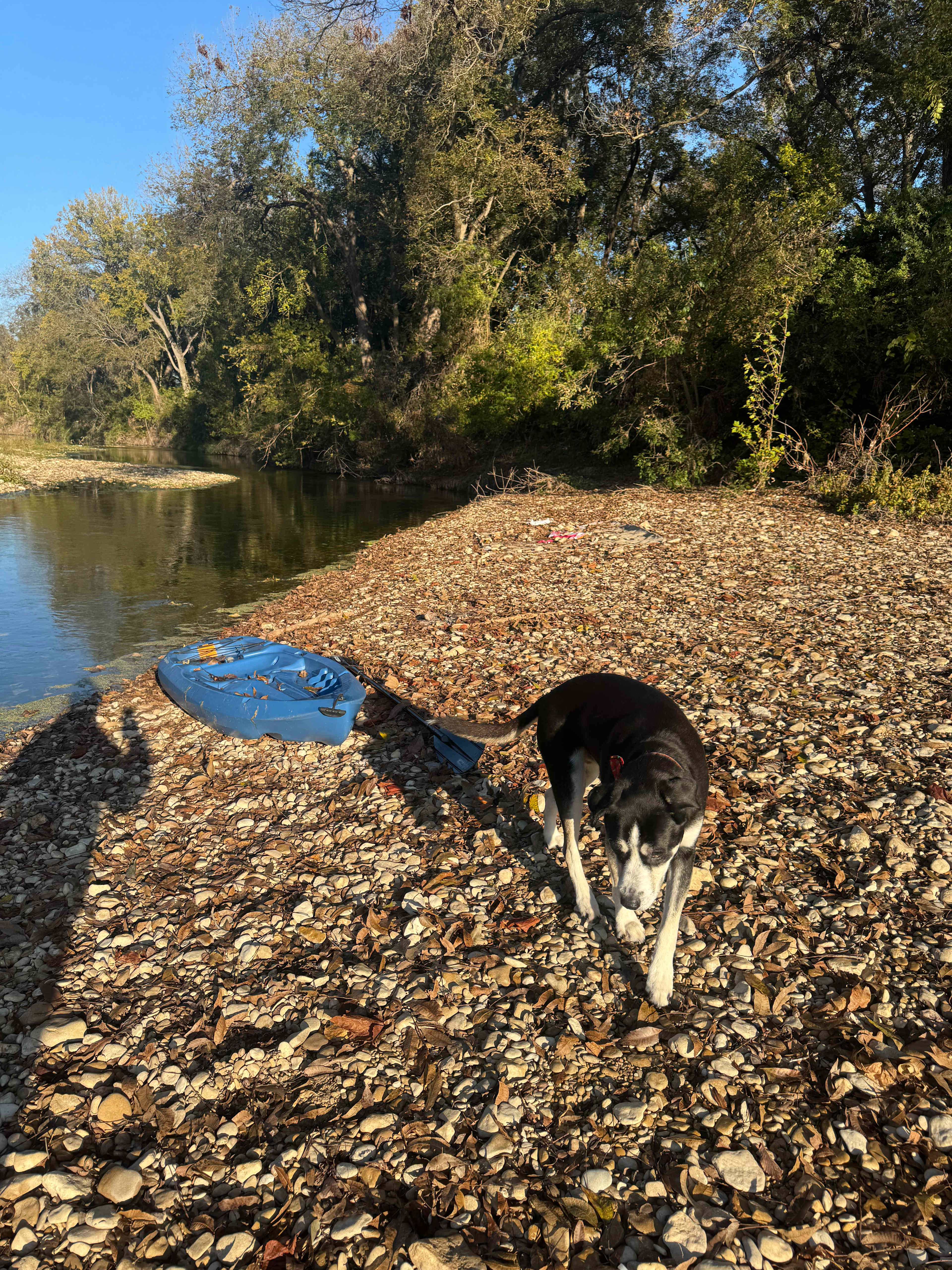 P² Farm | Scenic River Camping