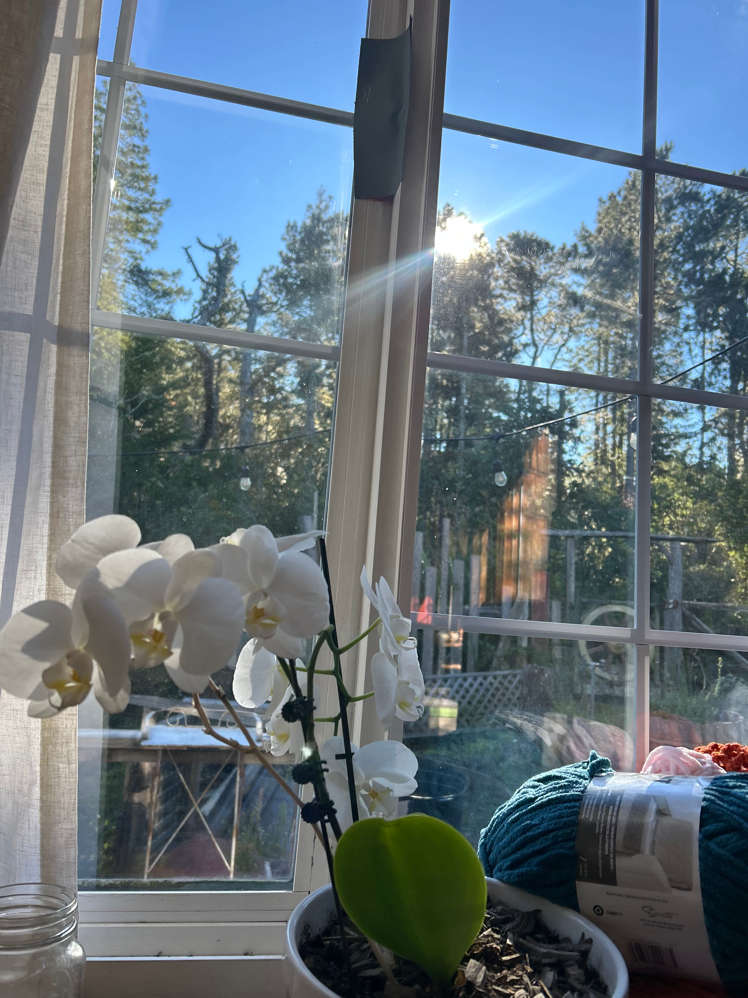 View from the bedroom