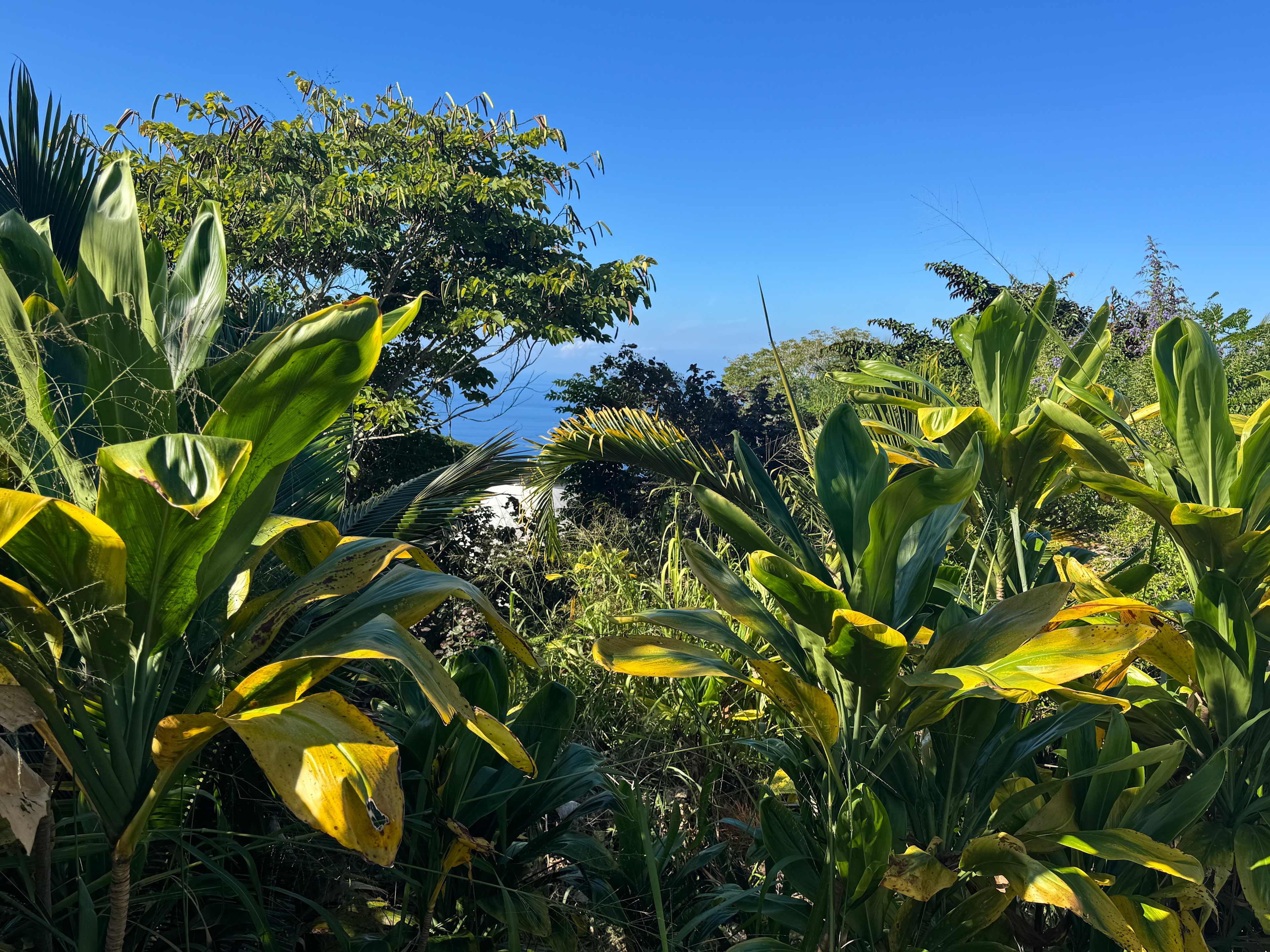 Gingerhill Farm Retreat