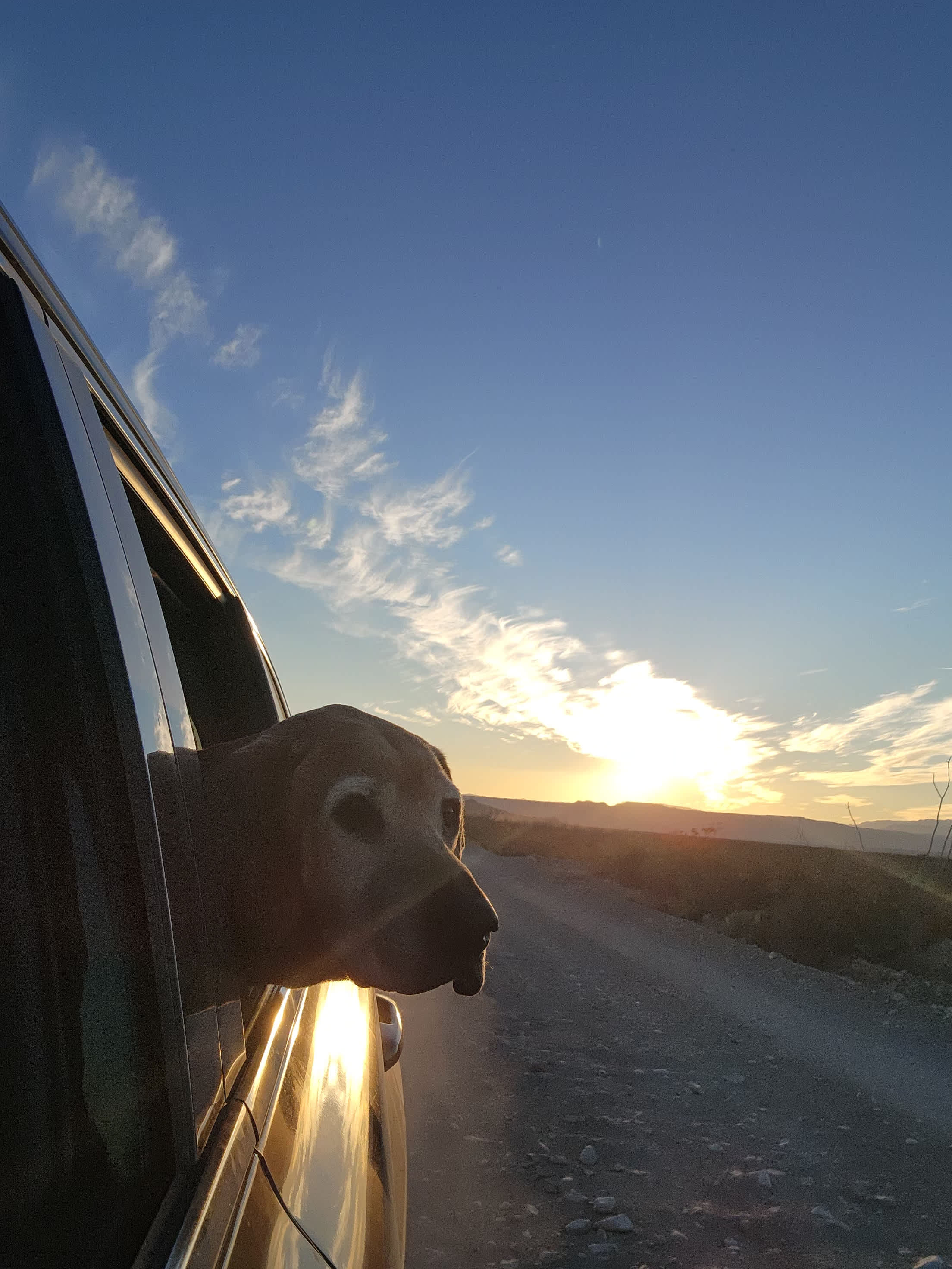 Jackass Flats Campground