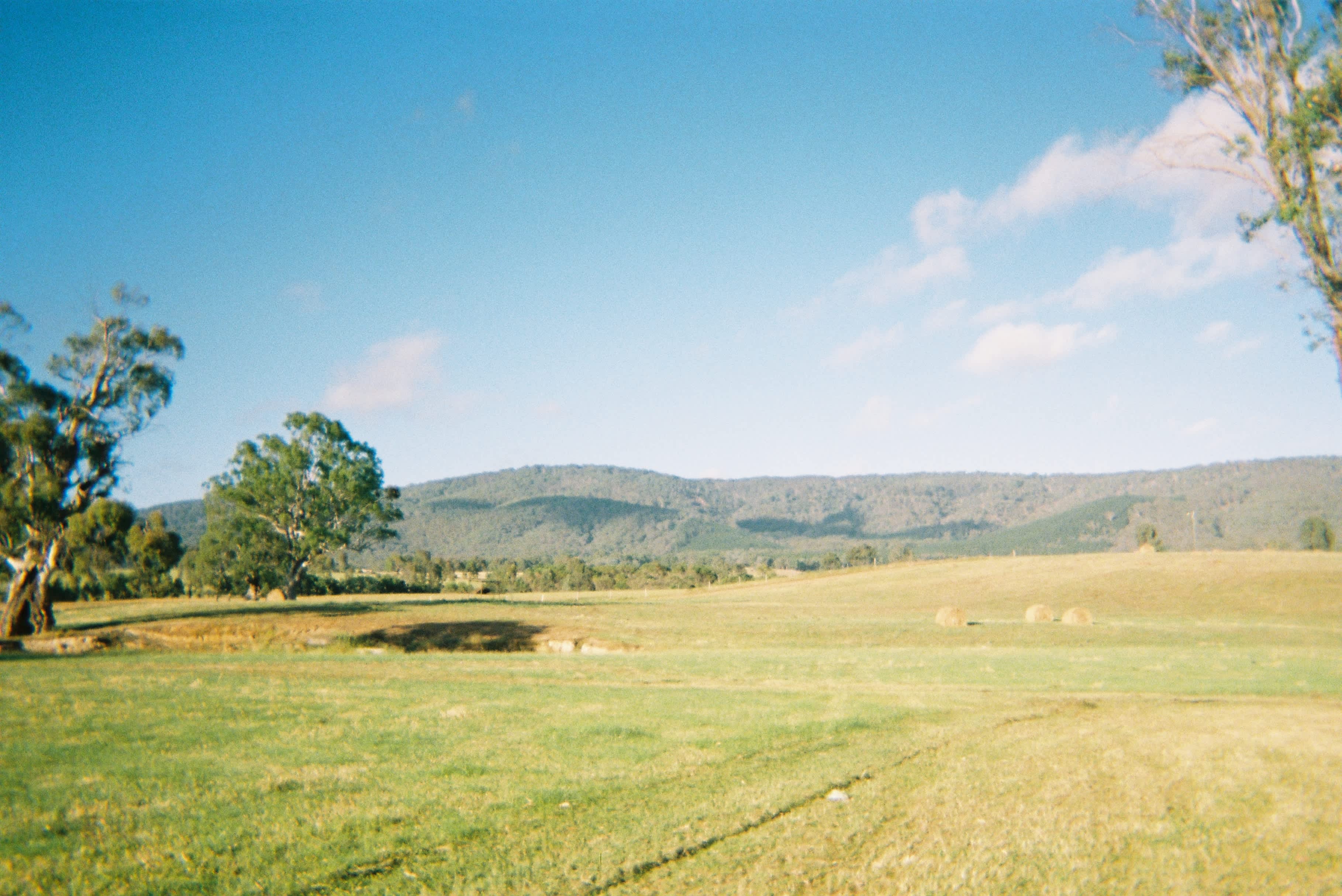 Abaminga Creekfront Flats