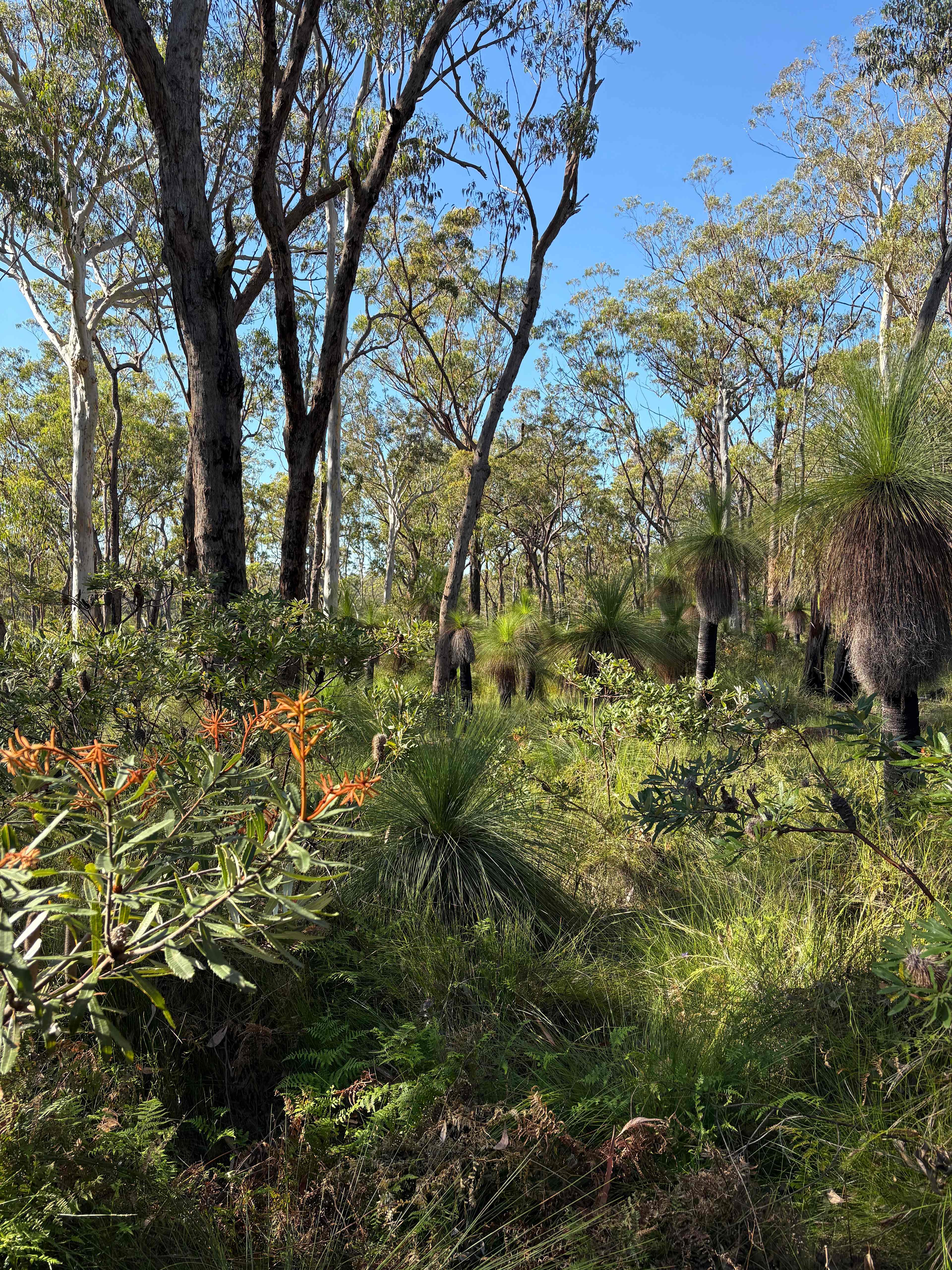 Groundswell Guest Camp