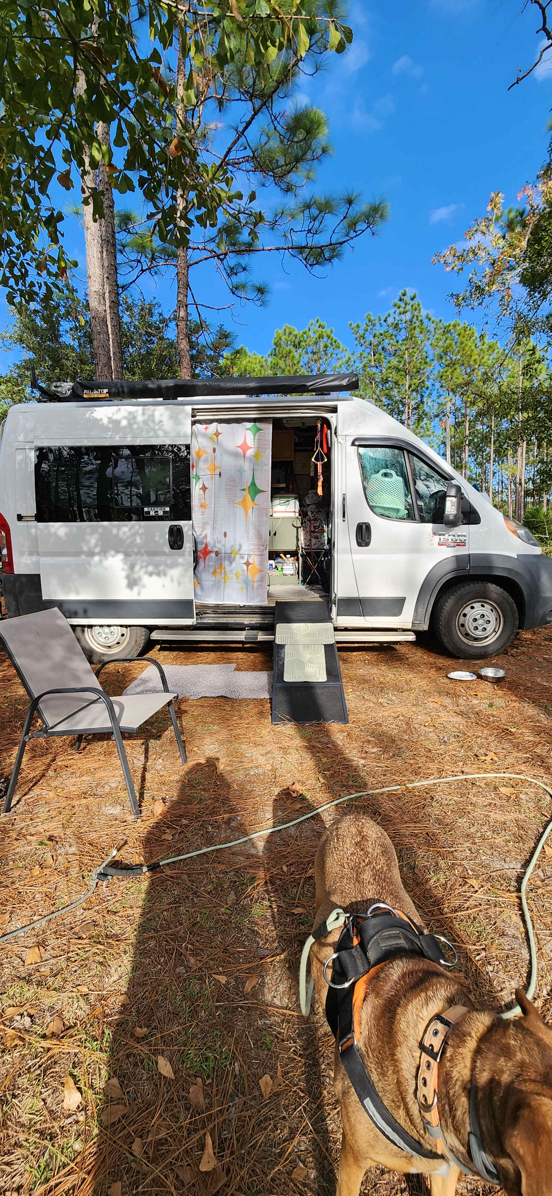 Heart of the Country