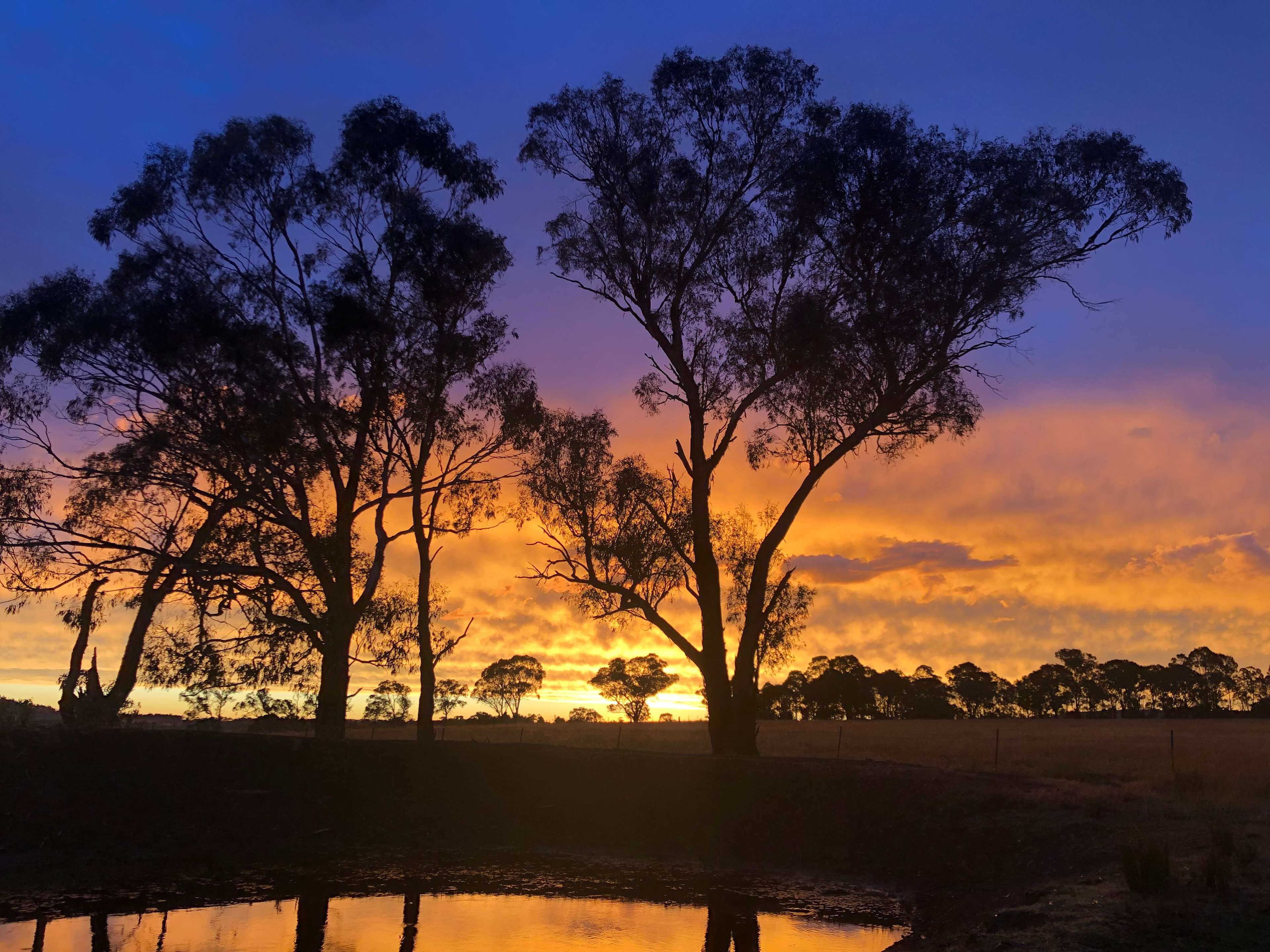 sunset after the storm
