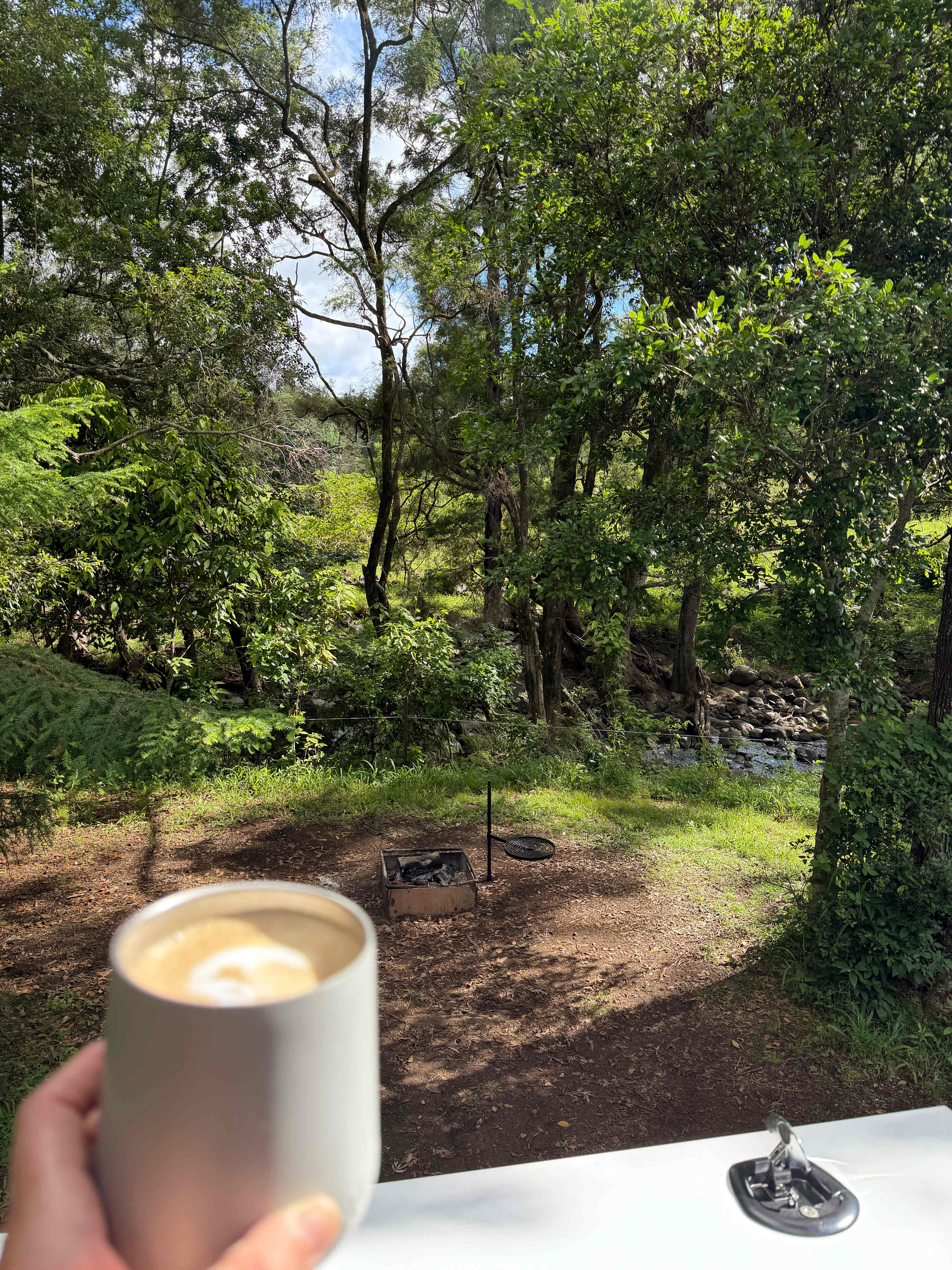 Tyungun At Ferny Glen