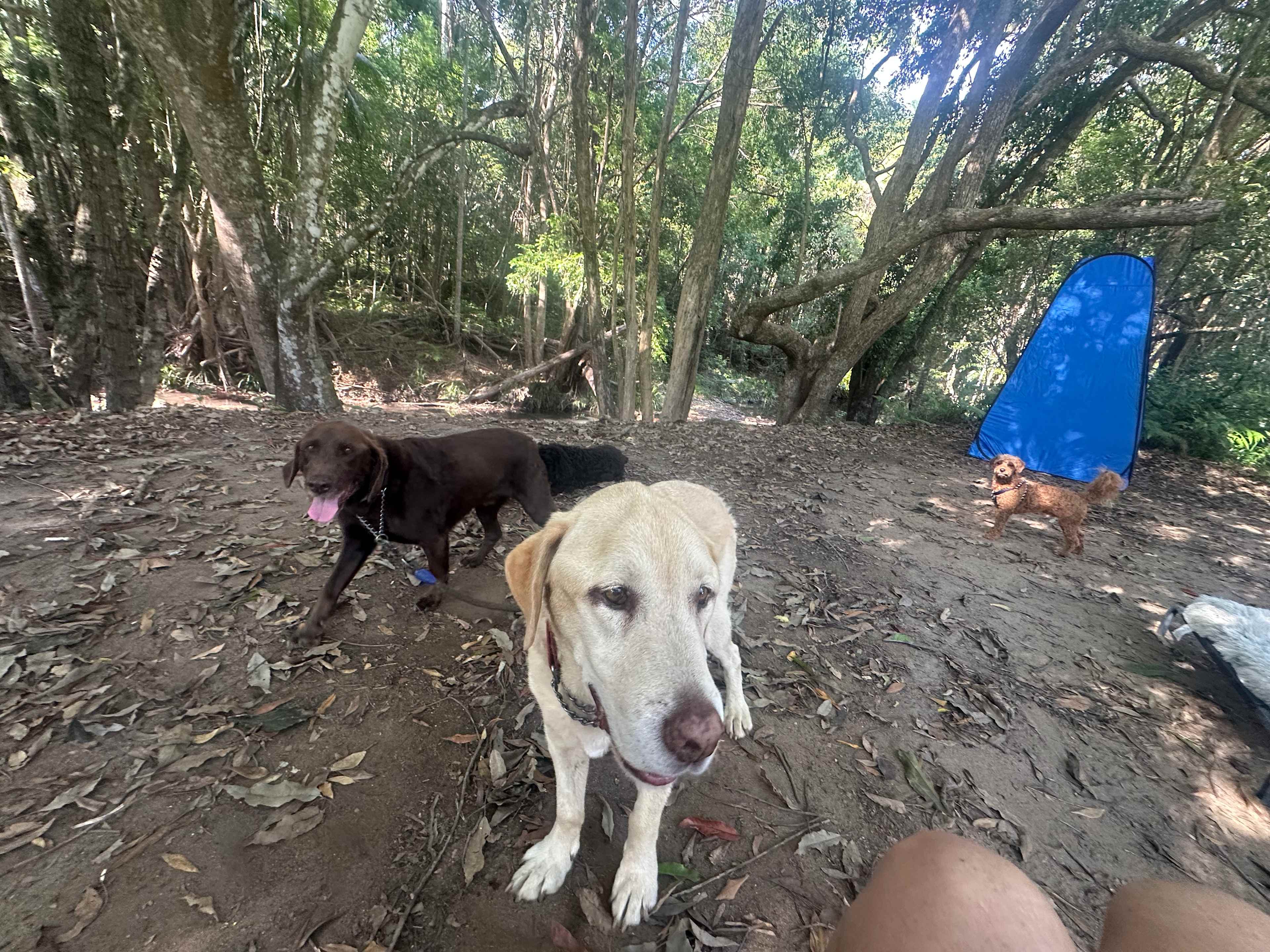 Tick of approval by these two