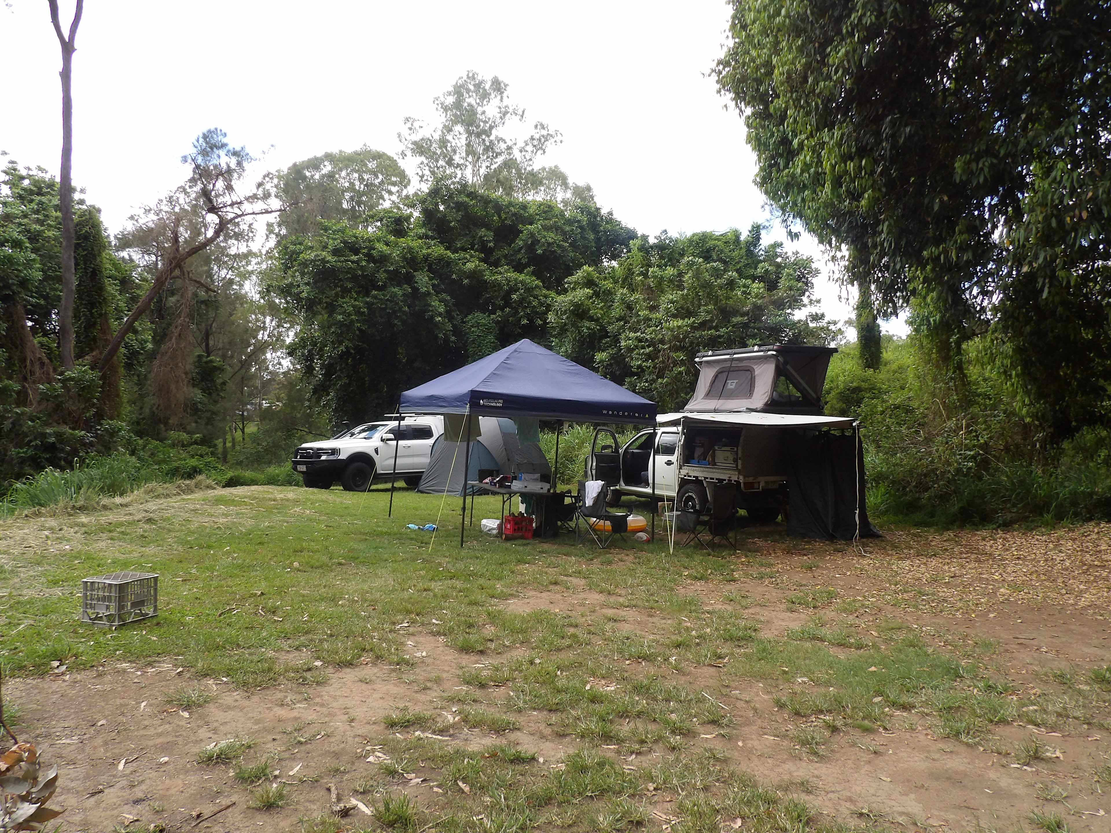 one section of the lower flat, massive site (we only used about 1/4 of the site). 