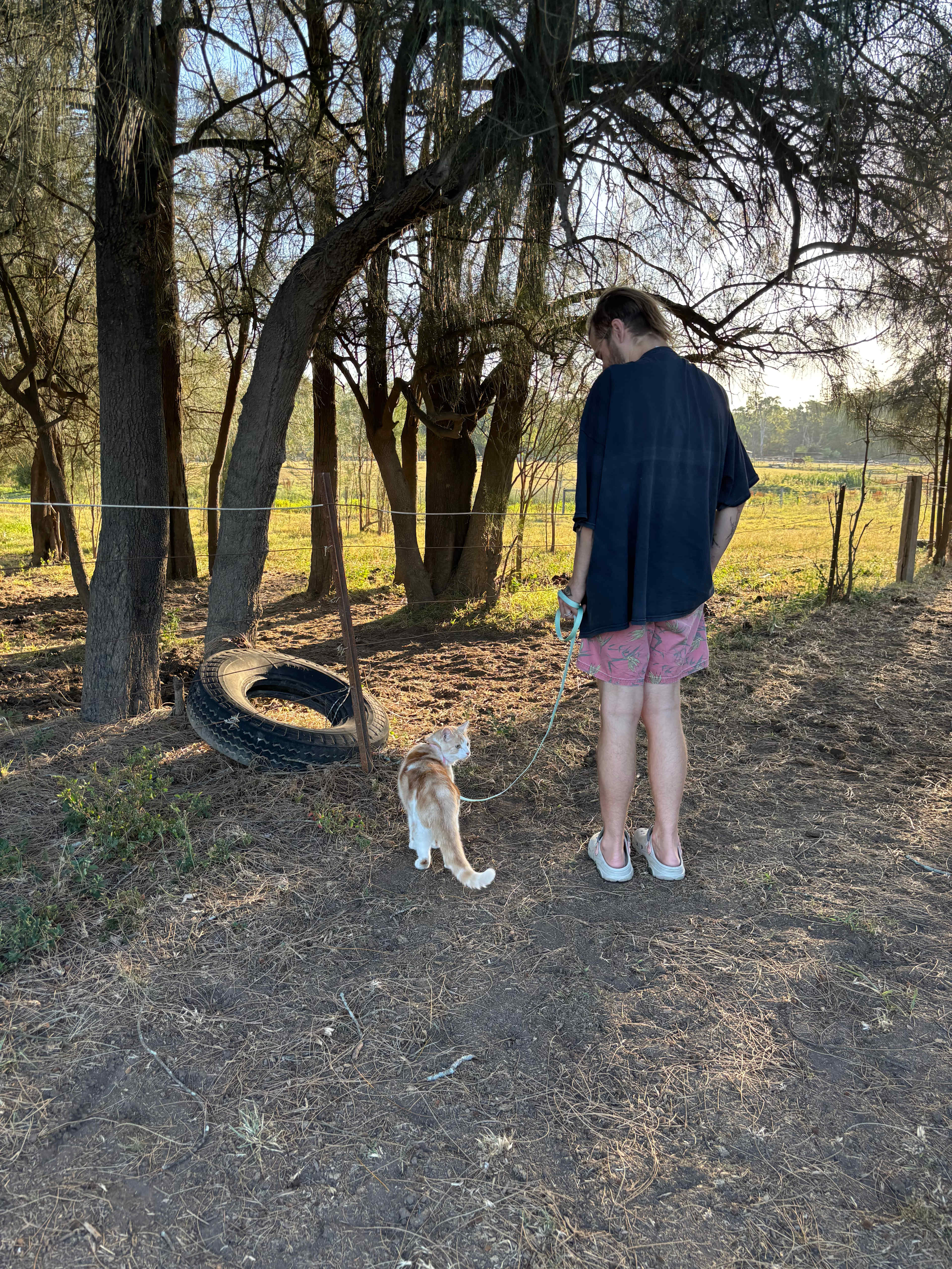 Peppertree Pony Camp
