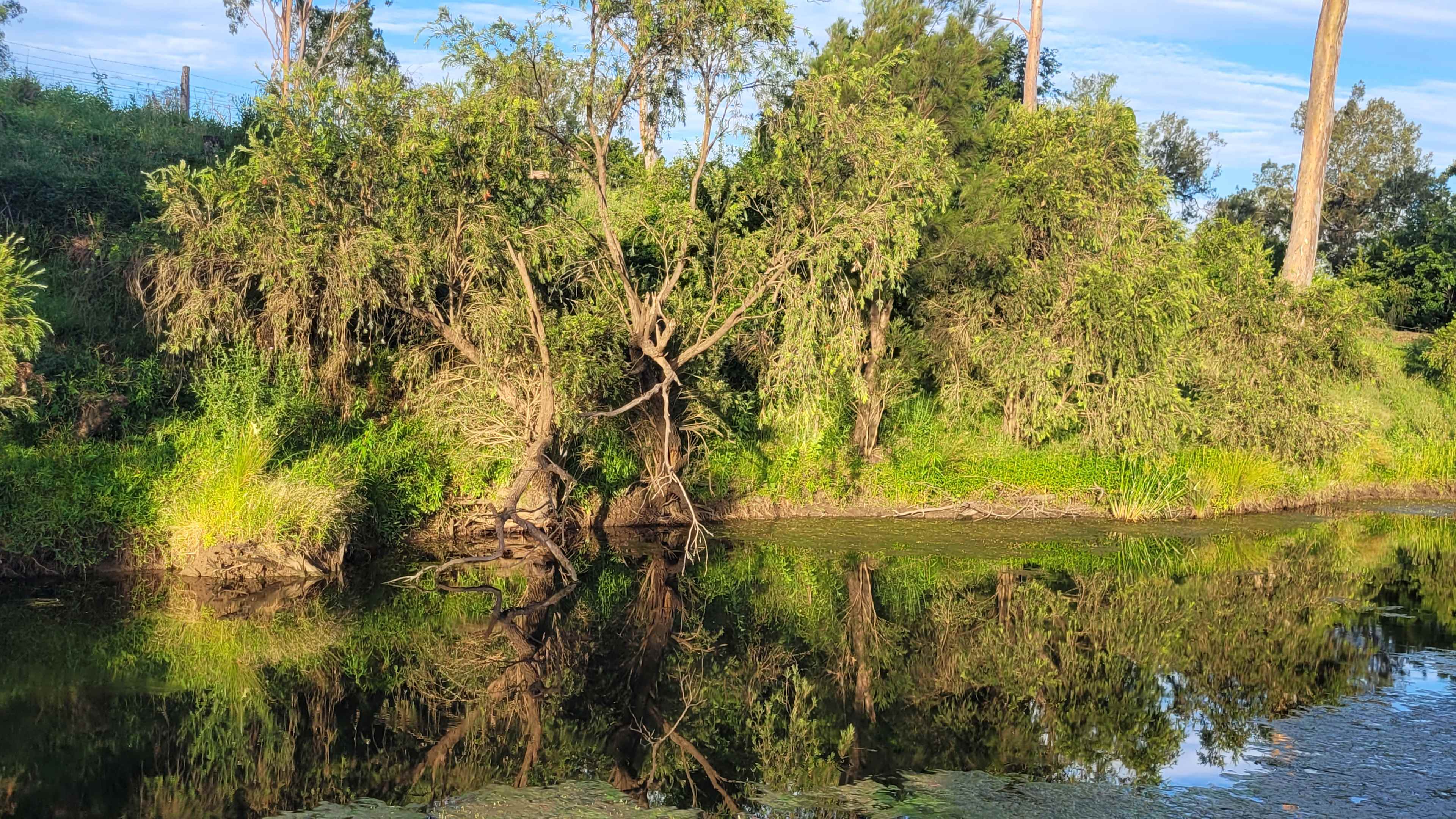 Camped by the creek.