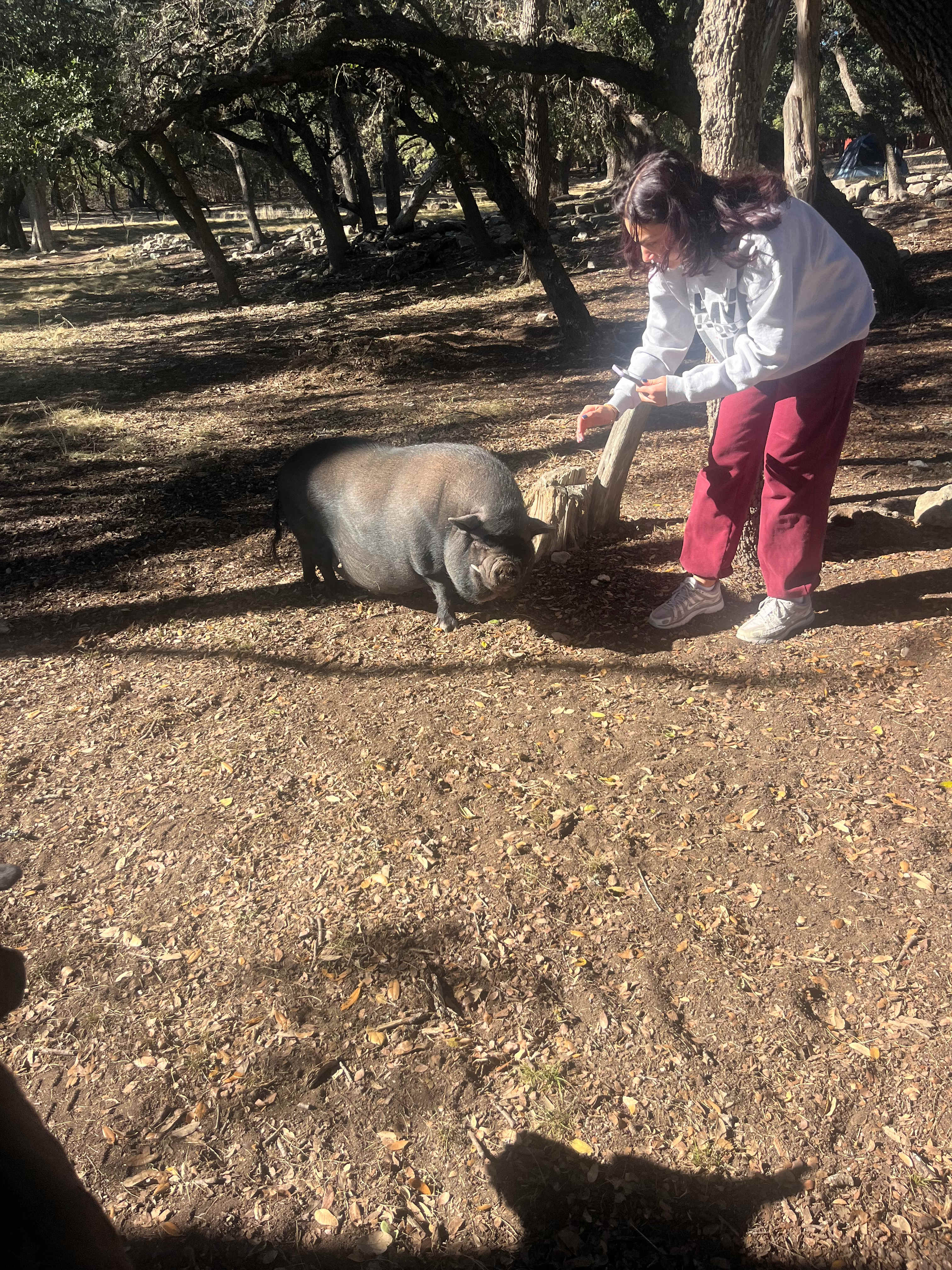 HomeAway Ranch & Wildlife Preserve