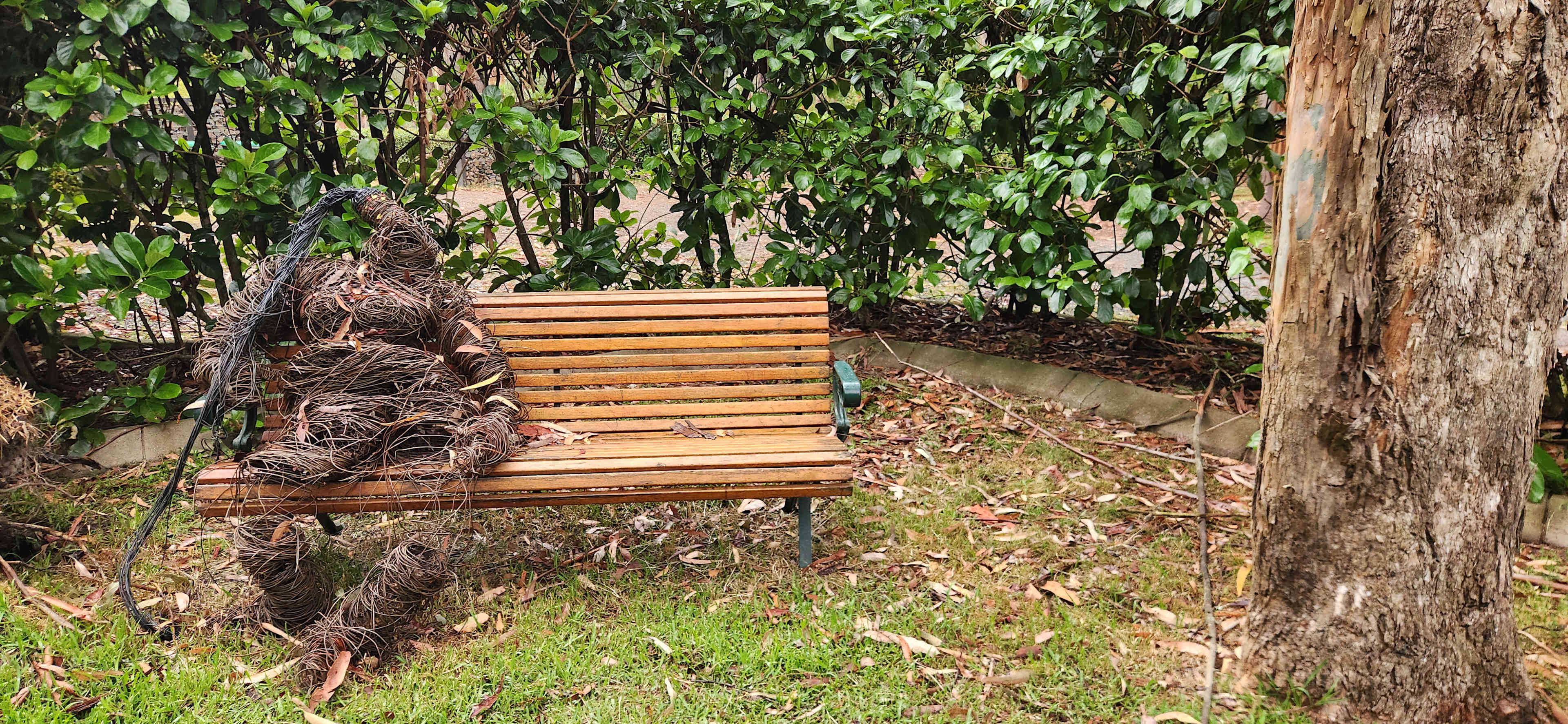 Mistinthegumtrees BUDGET 2 GLAMPING