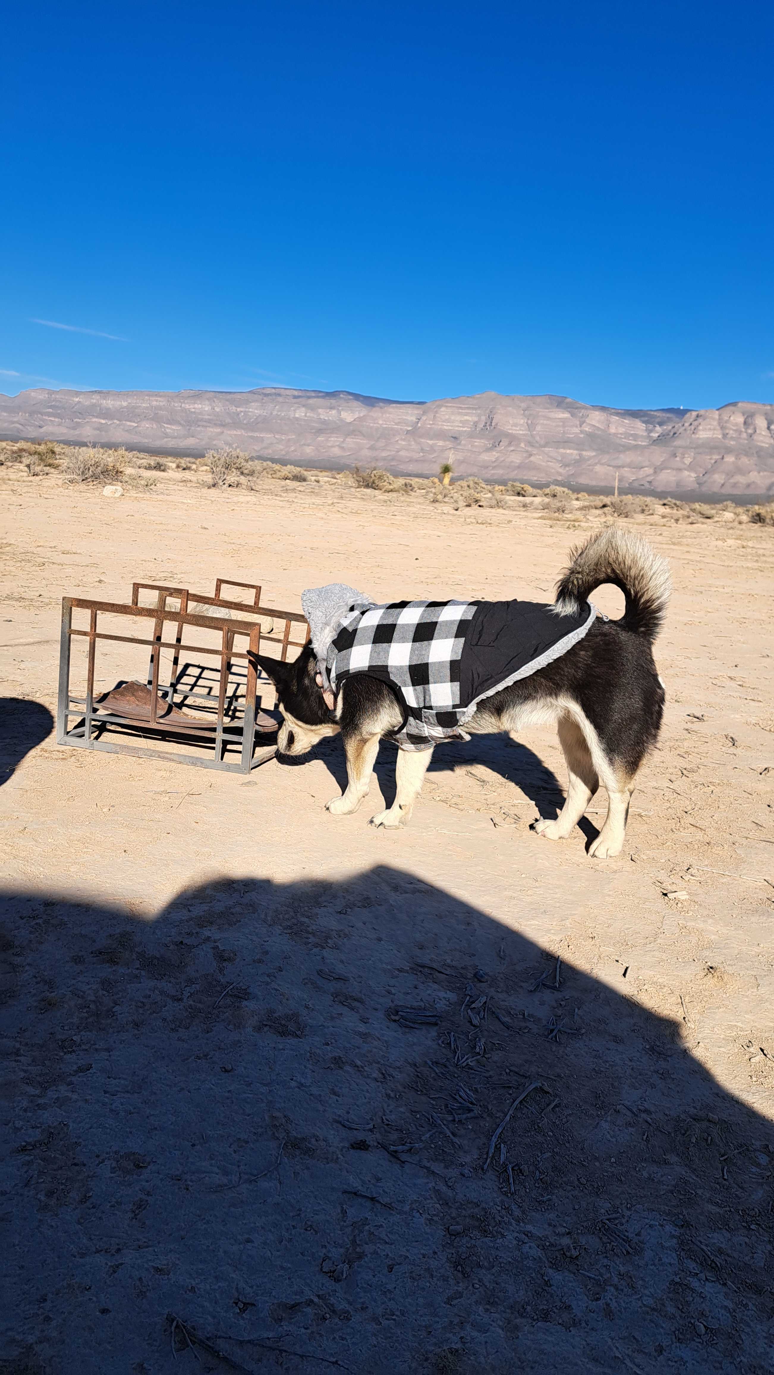Mars Research Base (MRB)