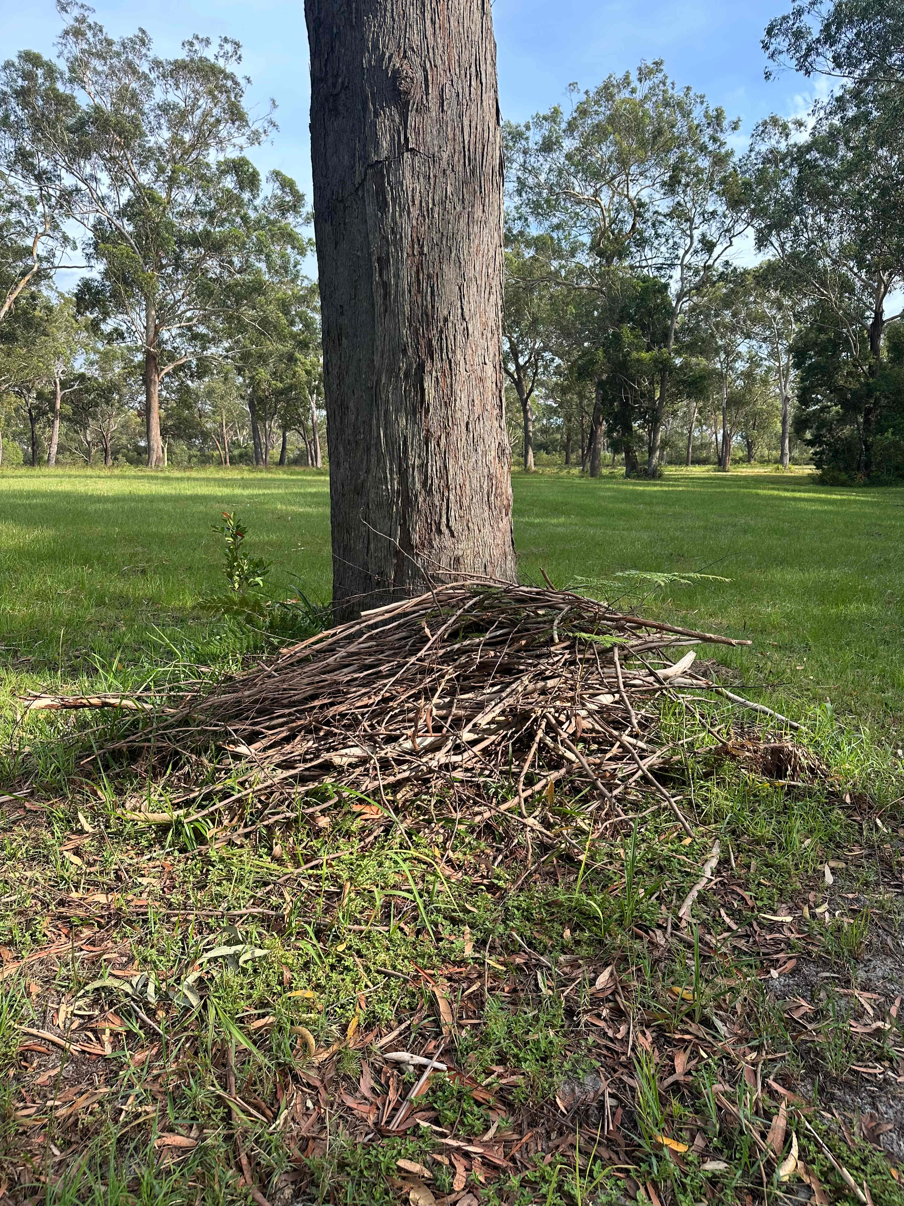 Shoreline Hobby Farm