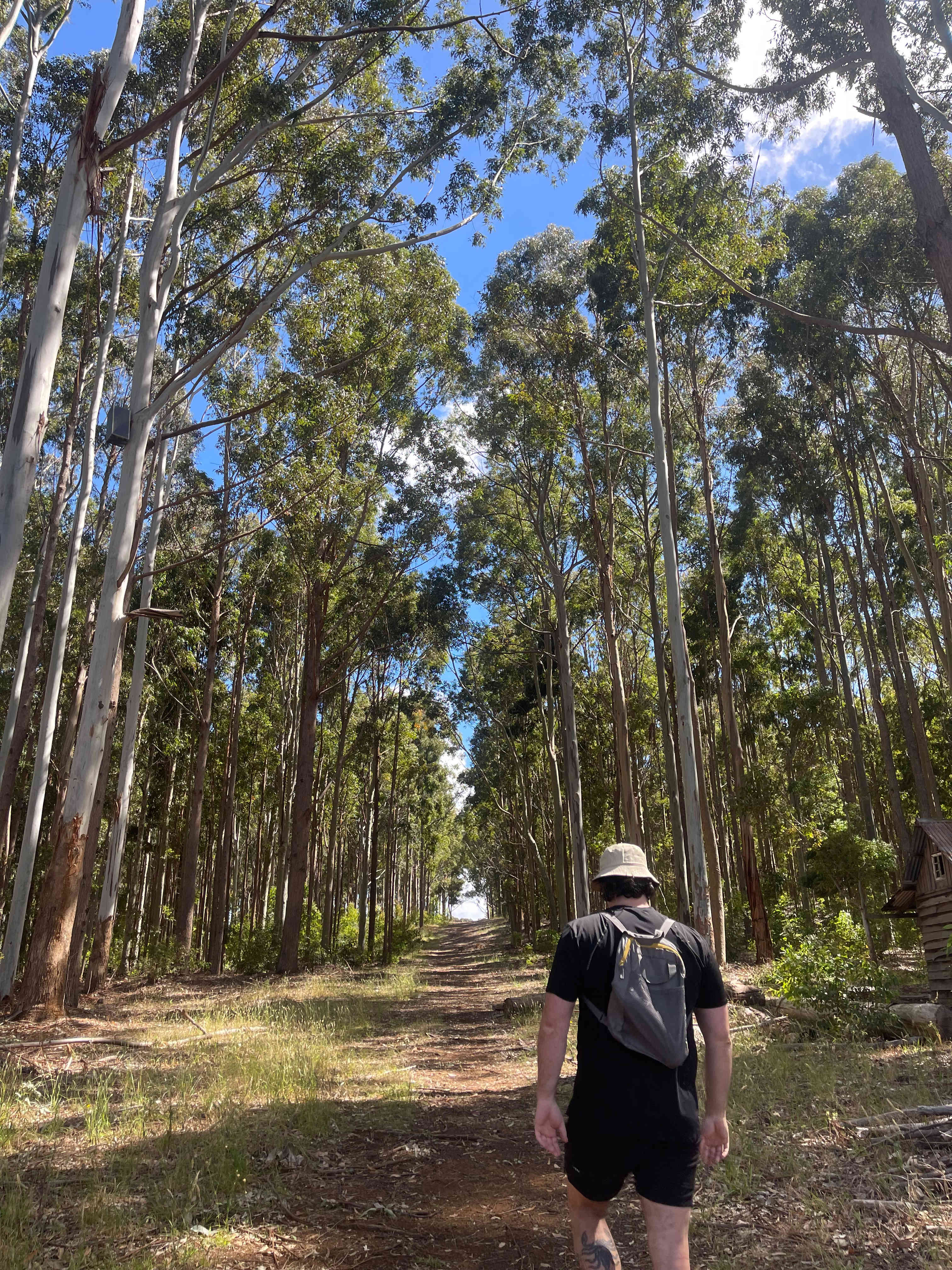 Fair Harvest Retreat Margaret River