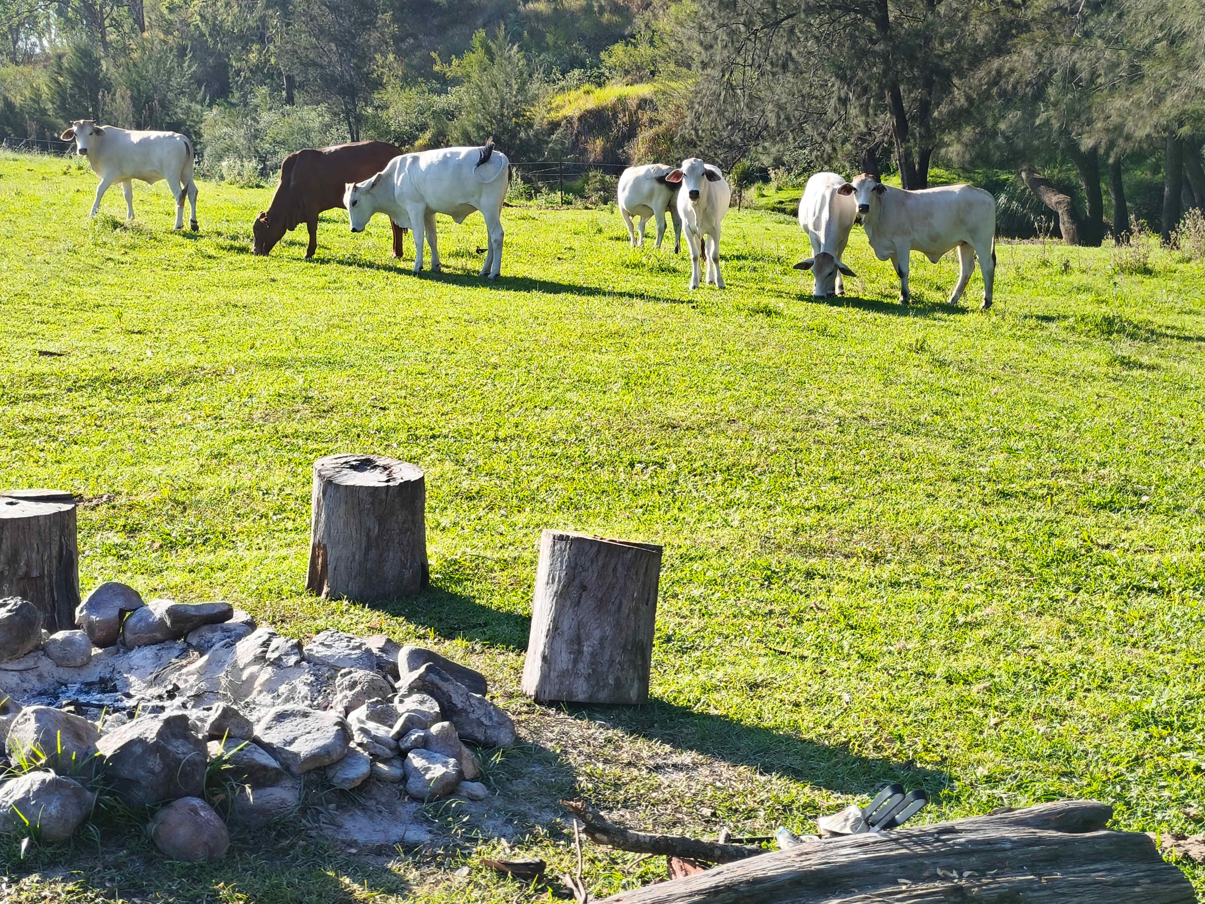 Millar Vale Creek Camping Innisfree