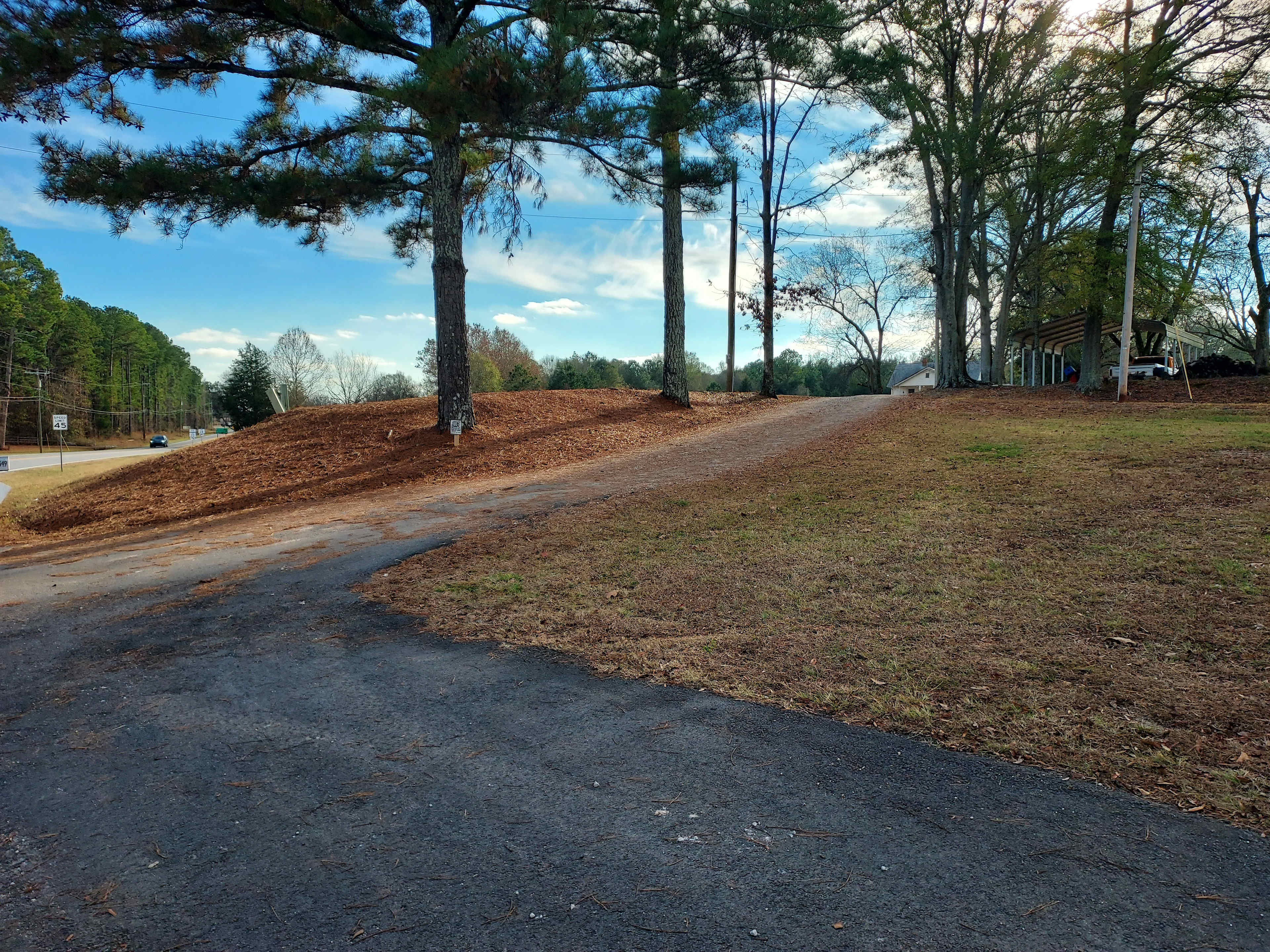 Sunny Day Adventures