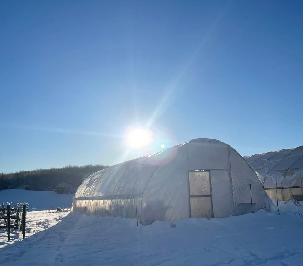 Feather and Hoof Tent Campsite