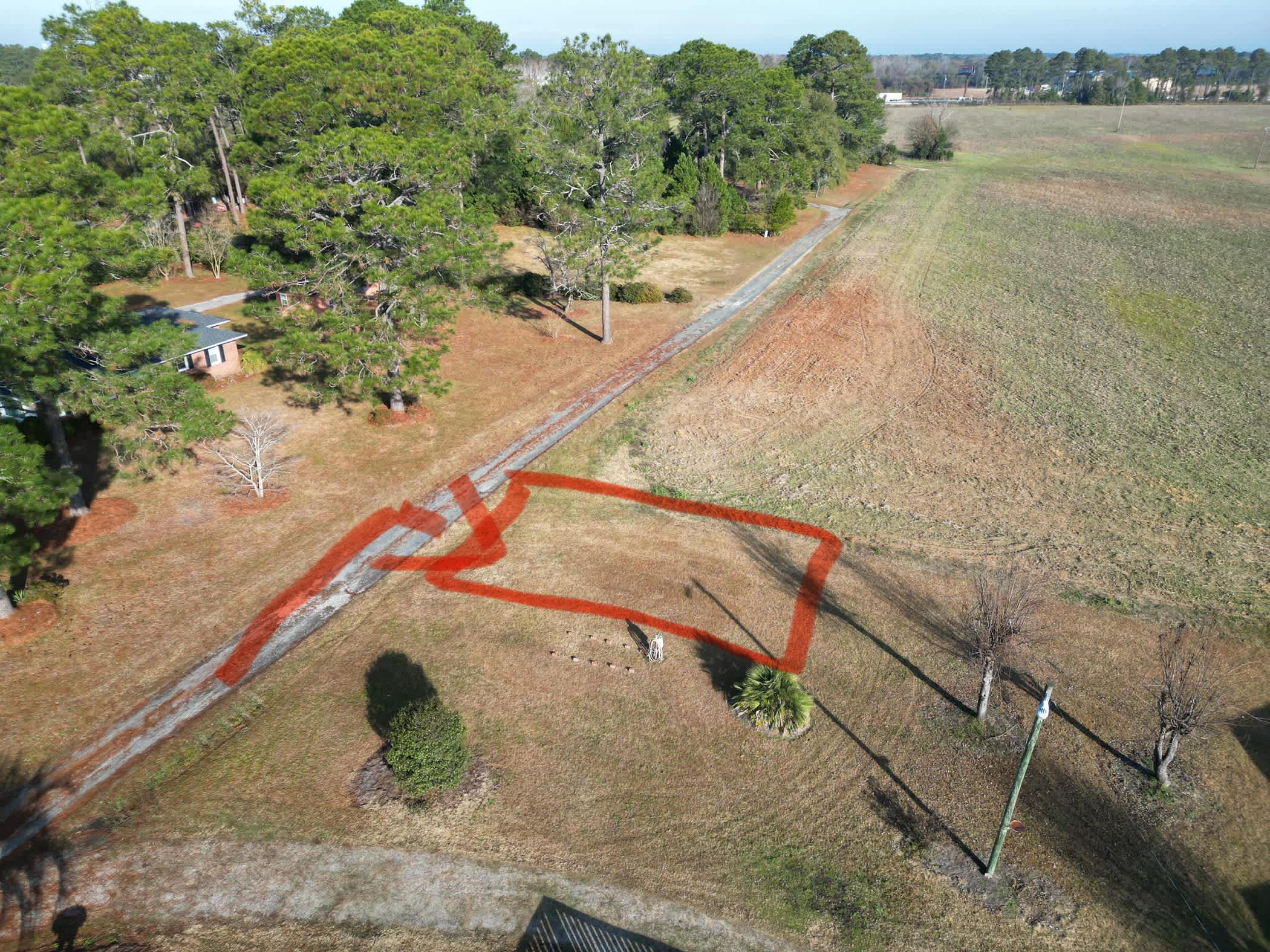 Picture of the site