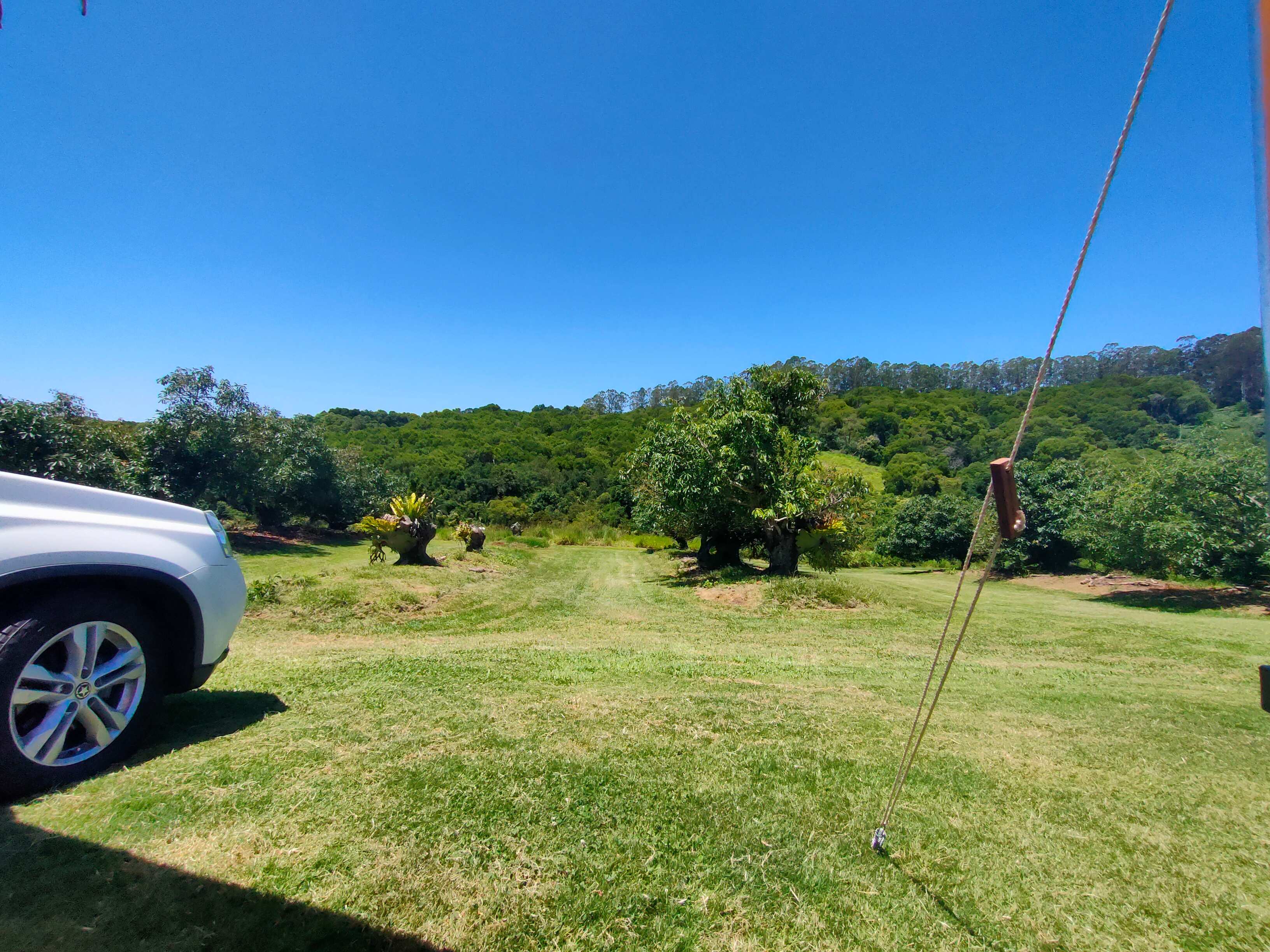 Tremayne - The Old Avocado Farm