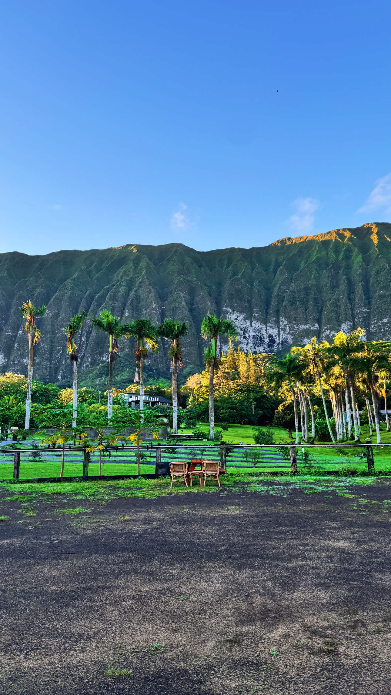 Waimanalo Farmstay