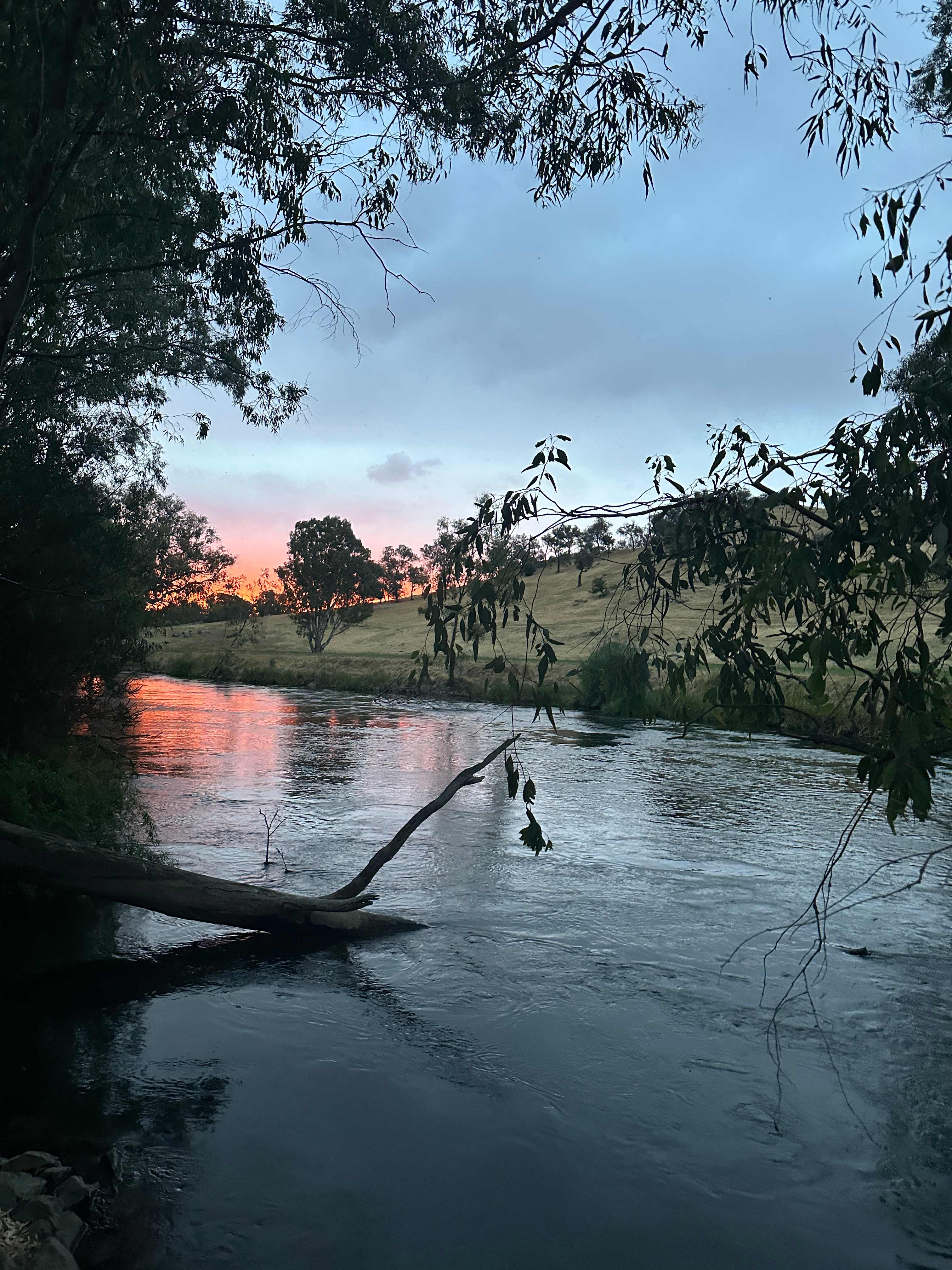 Bahwidgee on Tumut River