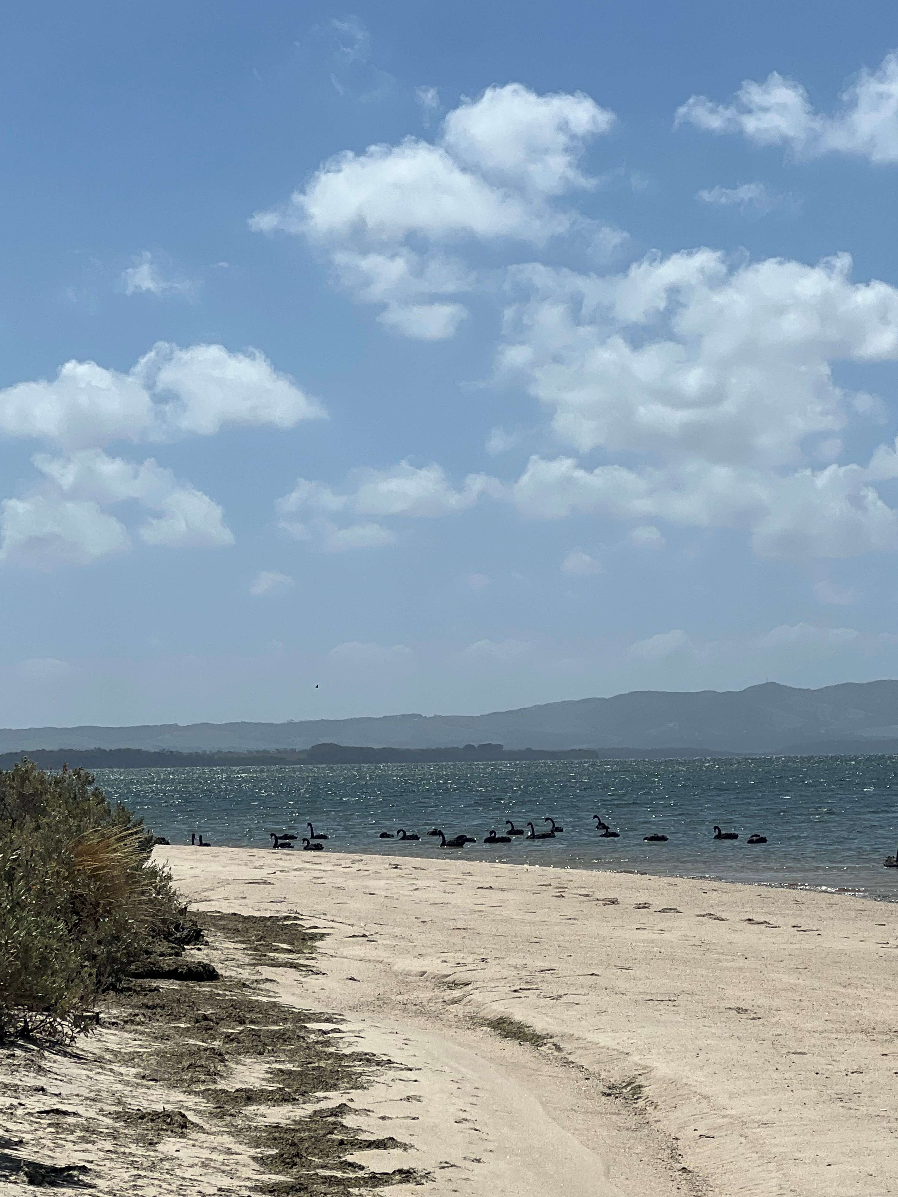 BIG4 Wilsons Prom Holiday Park