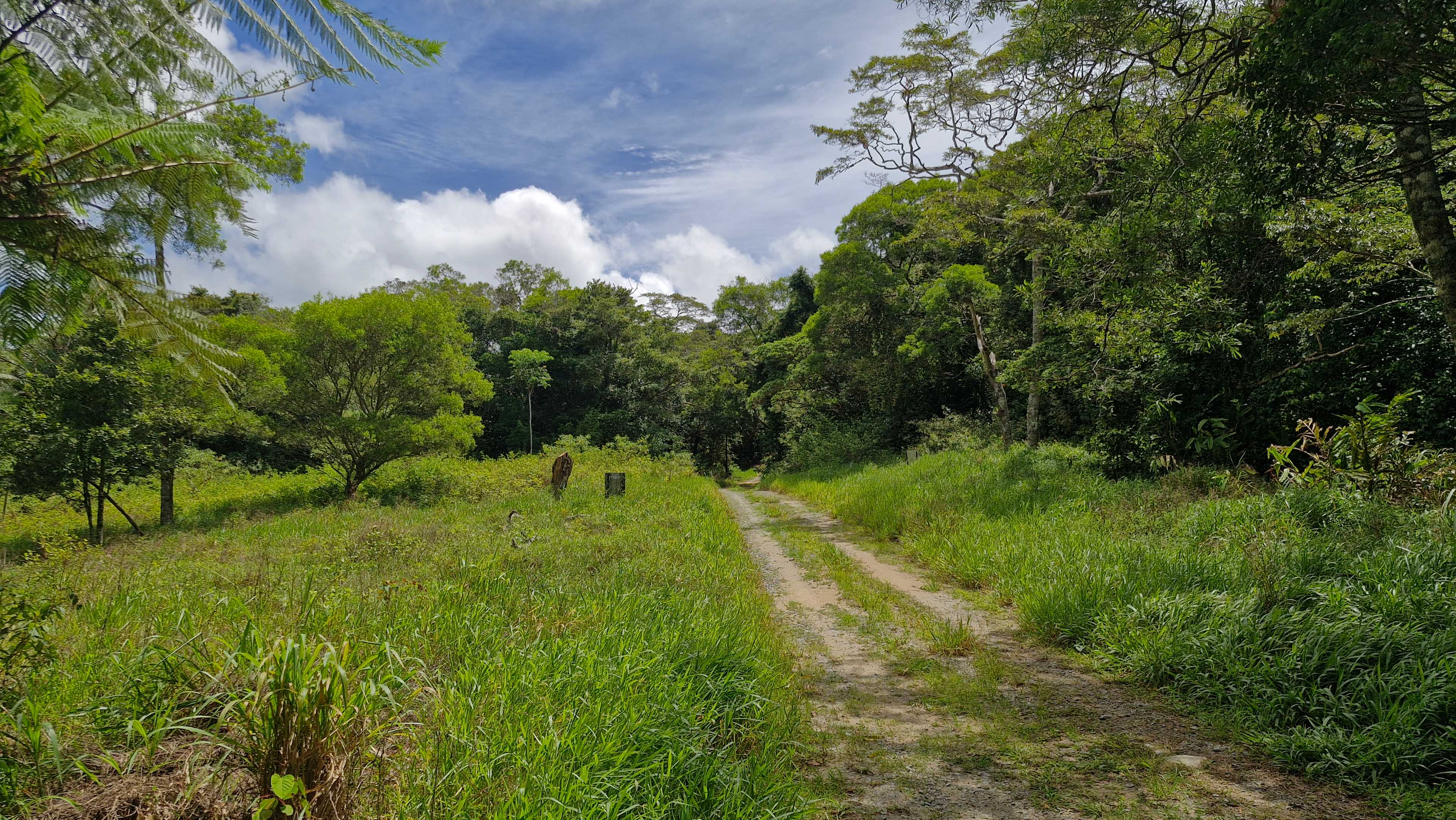 Clearing Black Mountain road a couple hours later