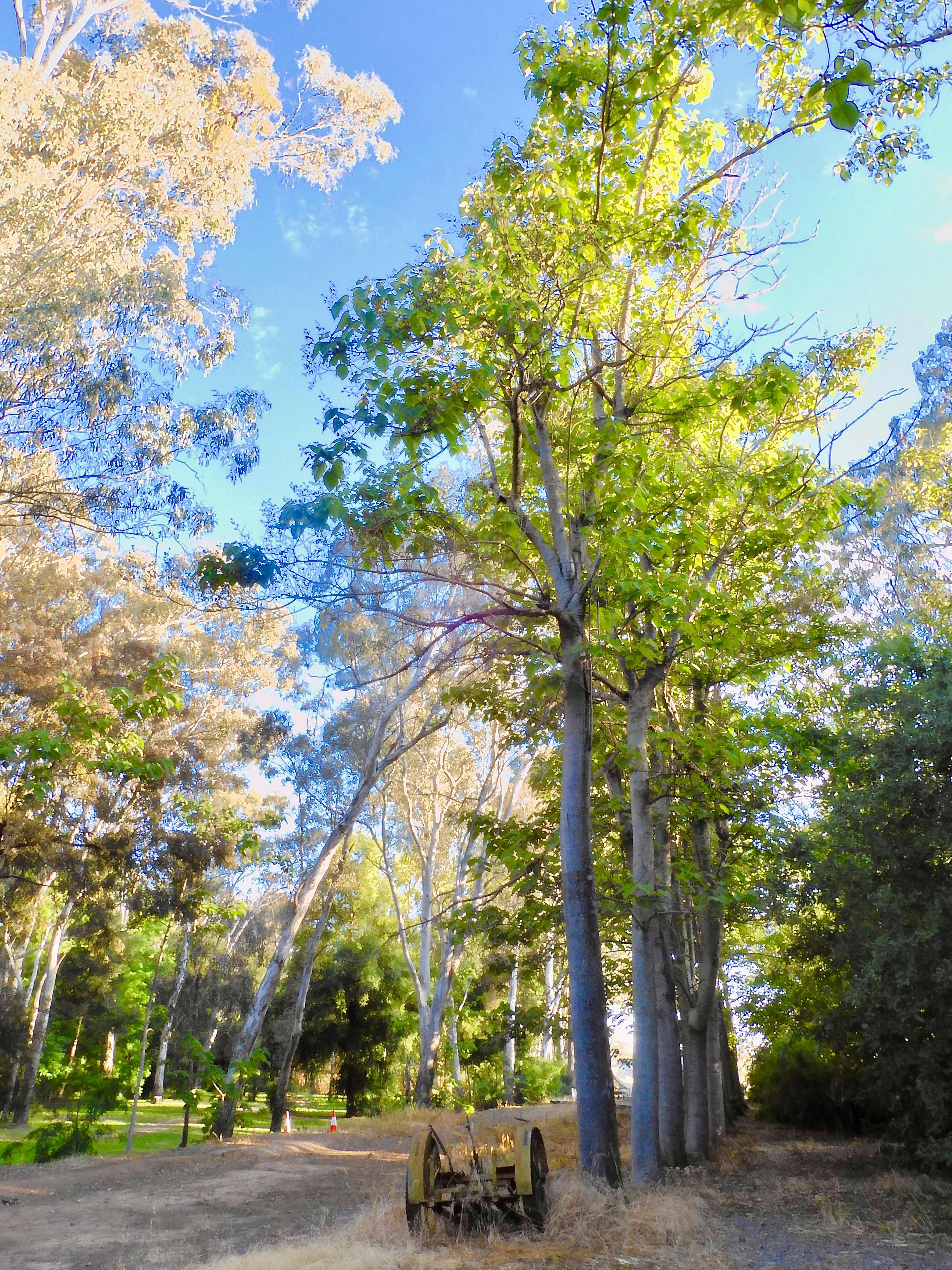 Riverside King Valley