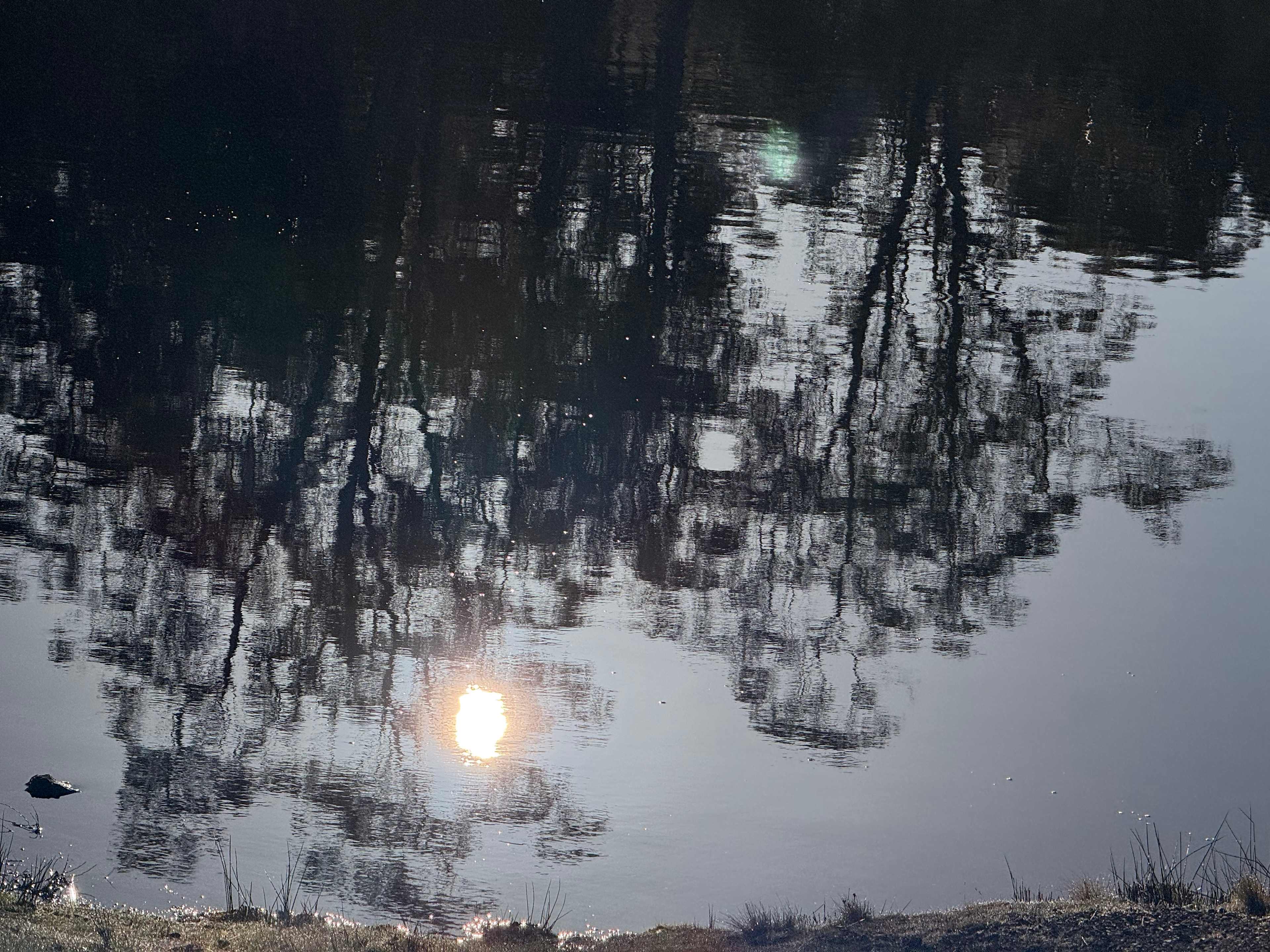 Cradle Mountain Fishery and Camping