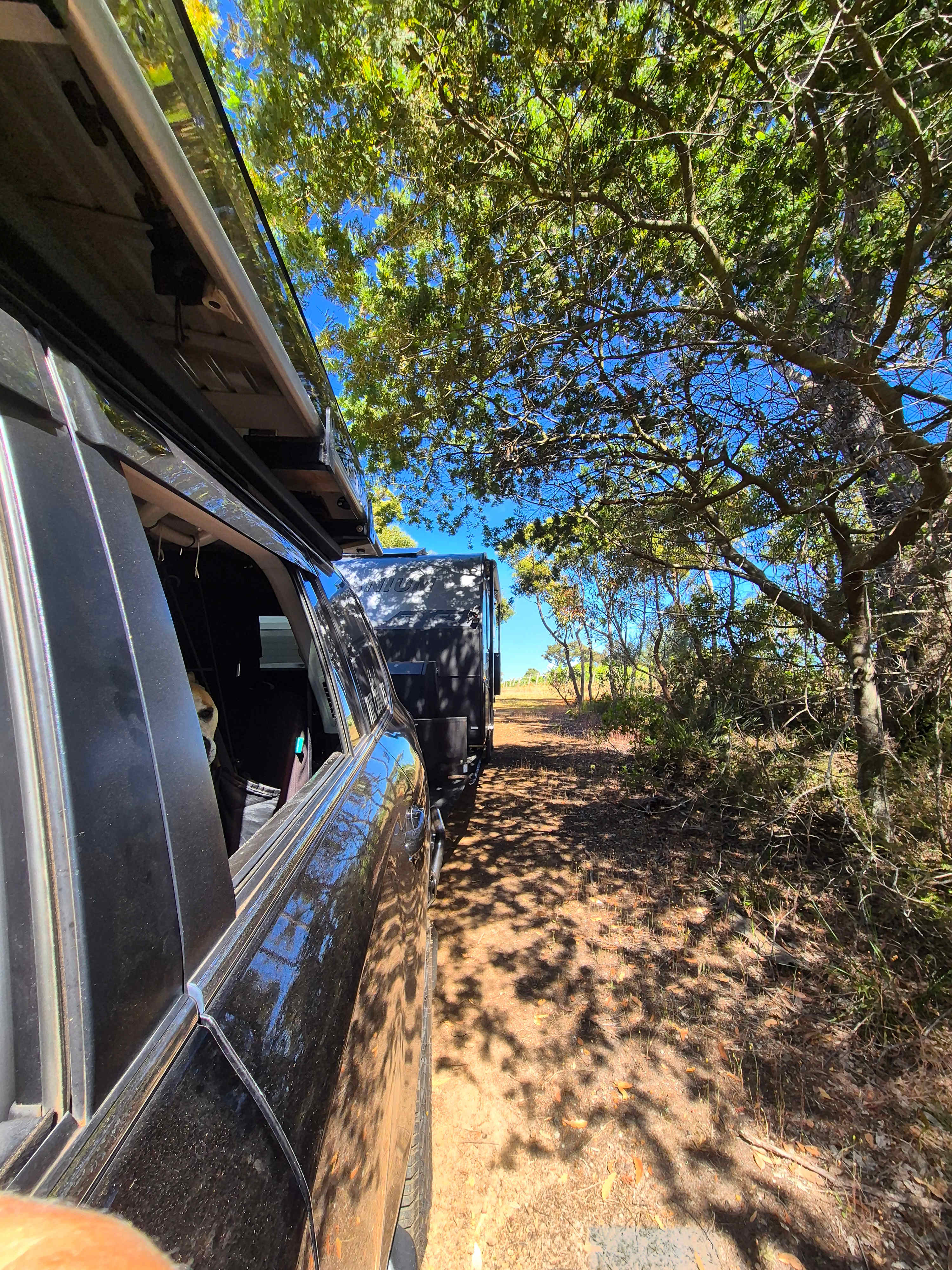 Phillips Brook Estate