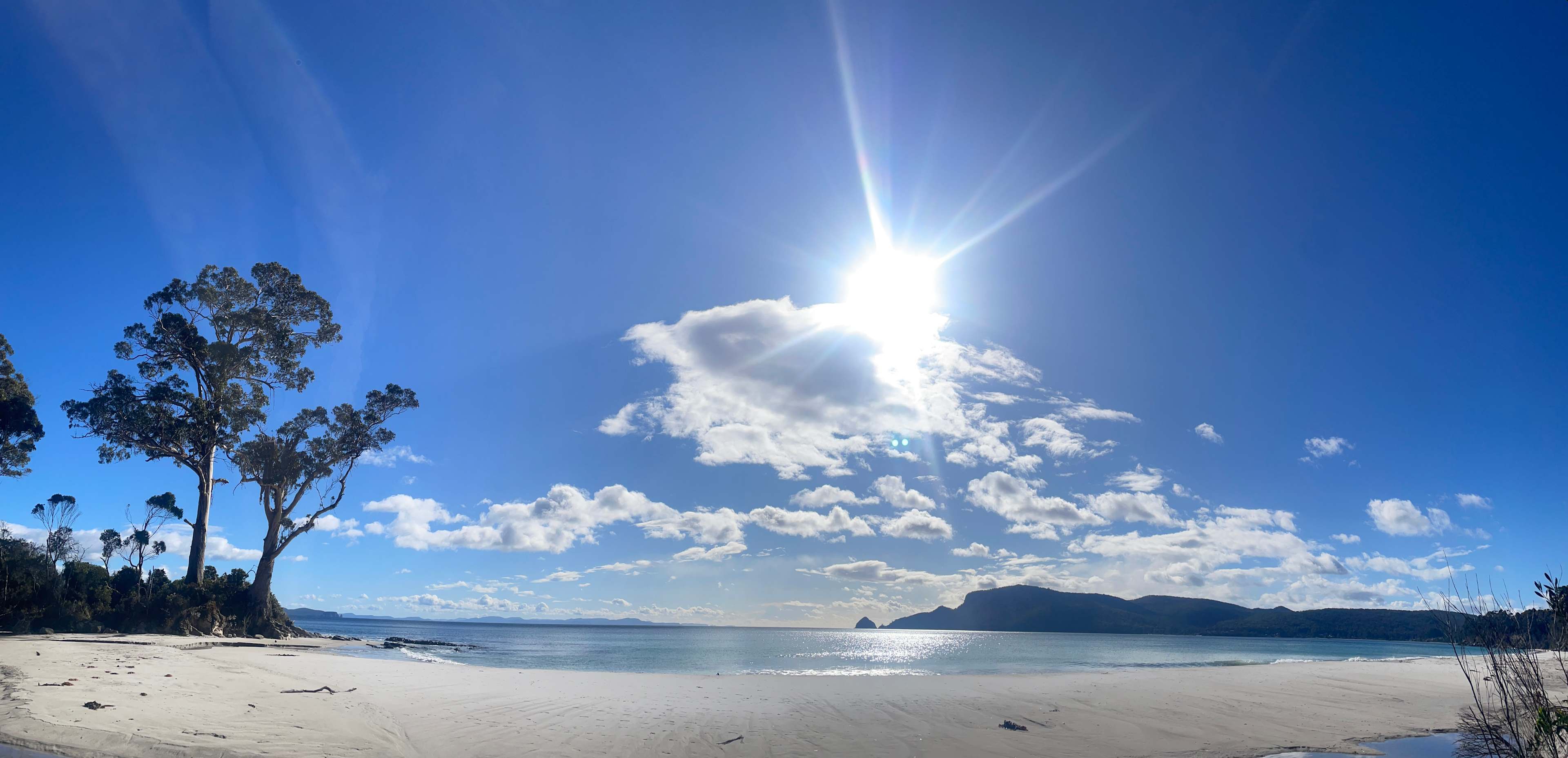 Directly across the road