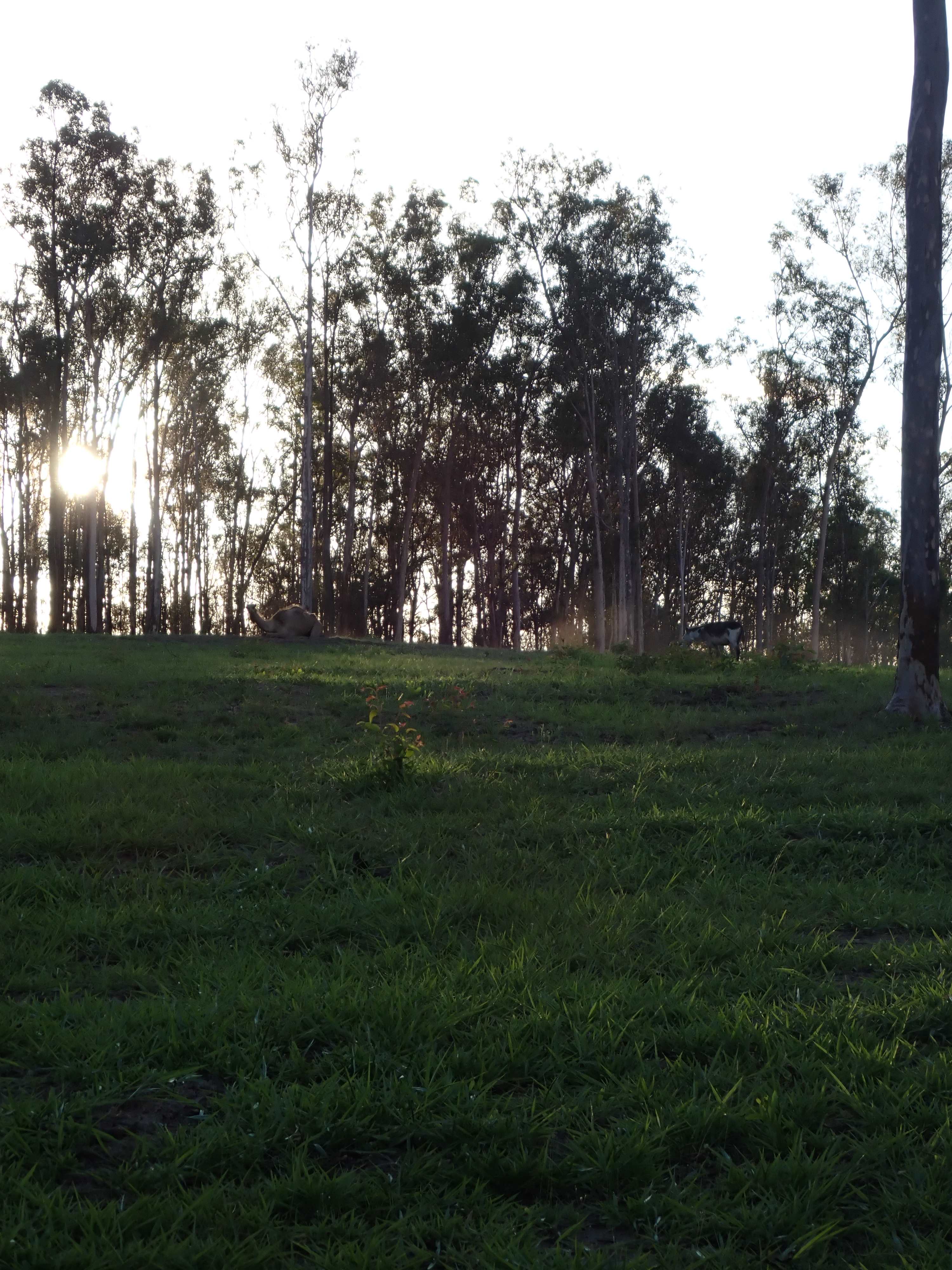 Hidden Camp Farm Stay