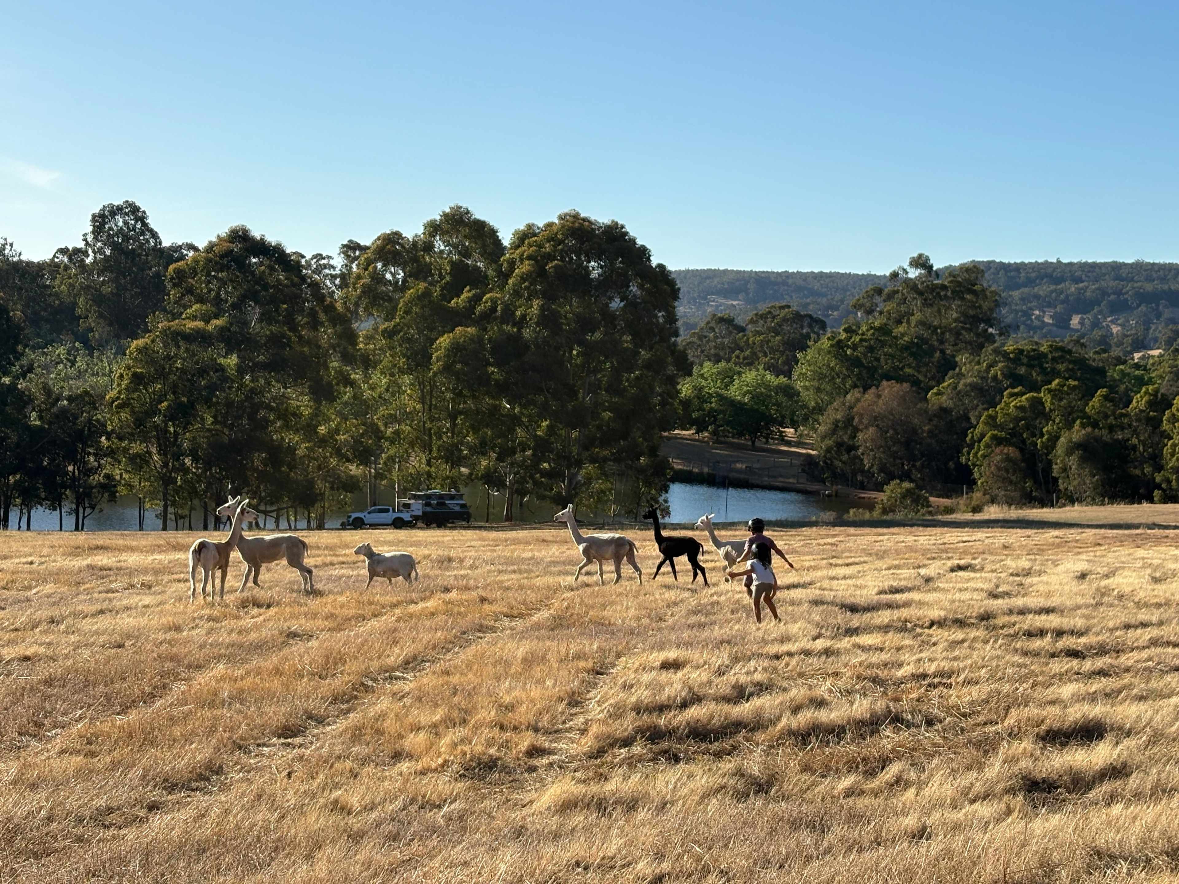 La Fiumara Olive Farm