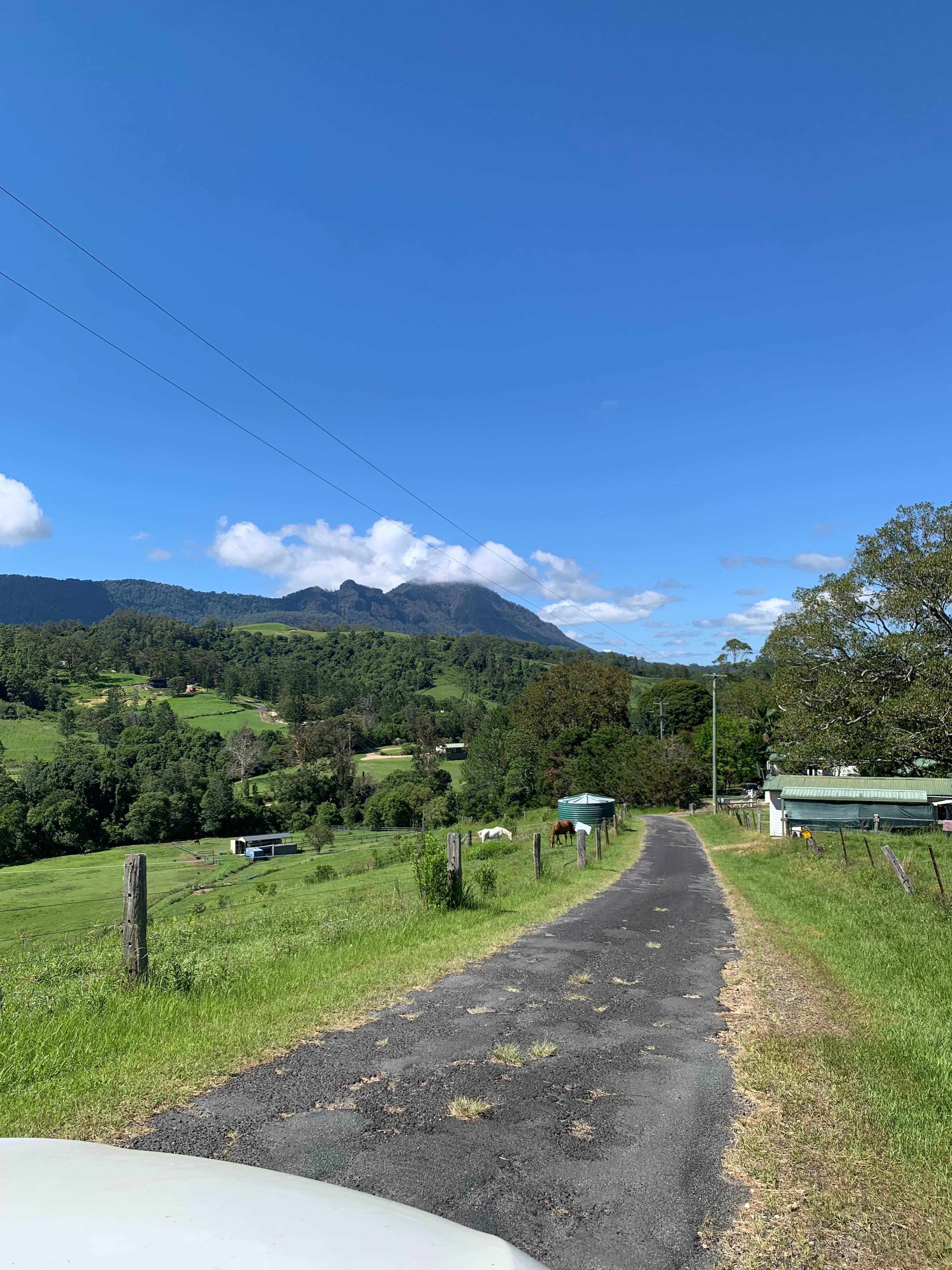 Misty Mountain - Kunghur