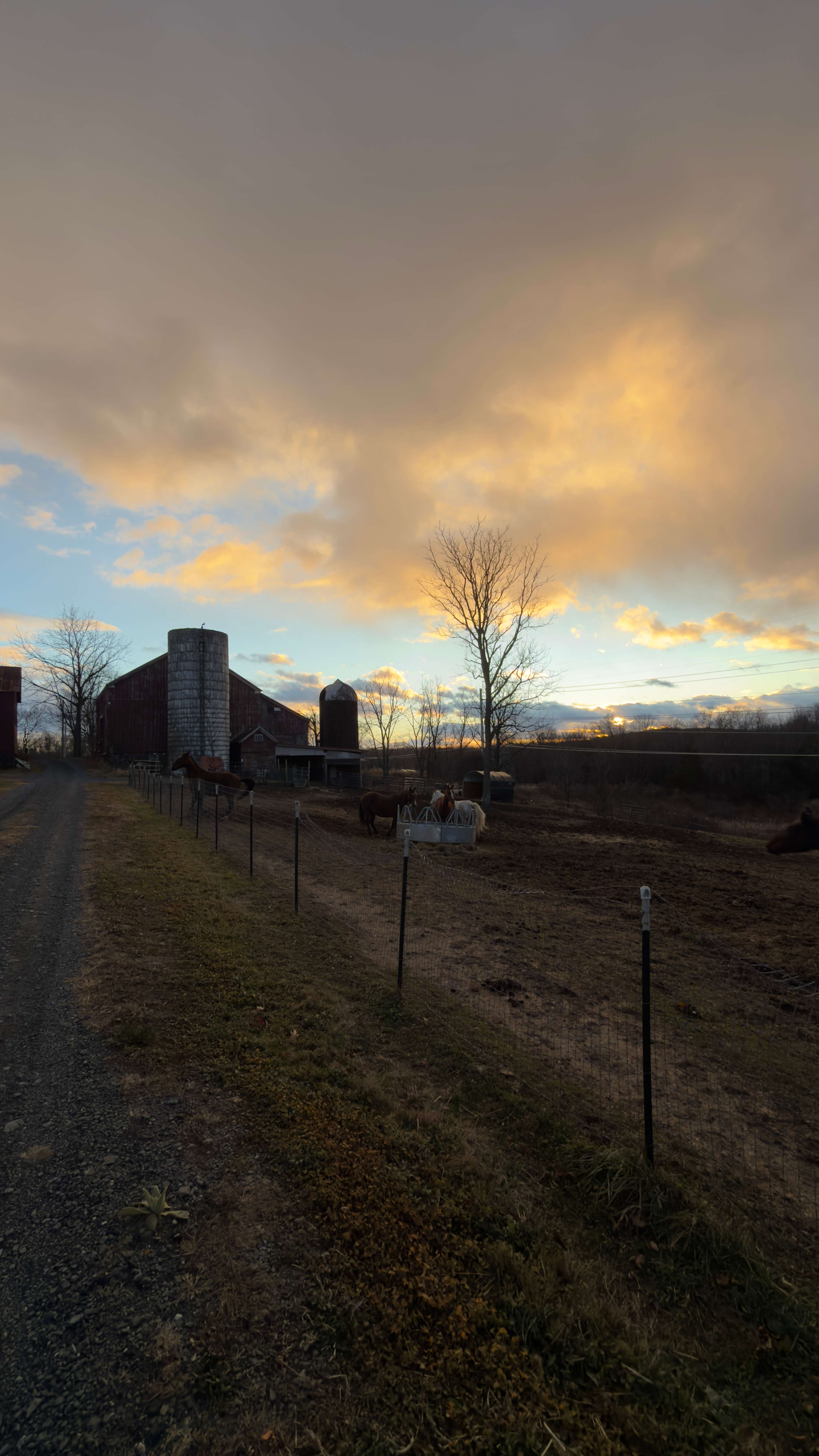 Sunset with barn