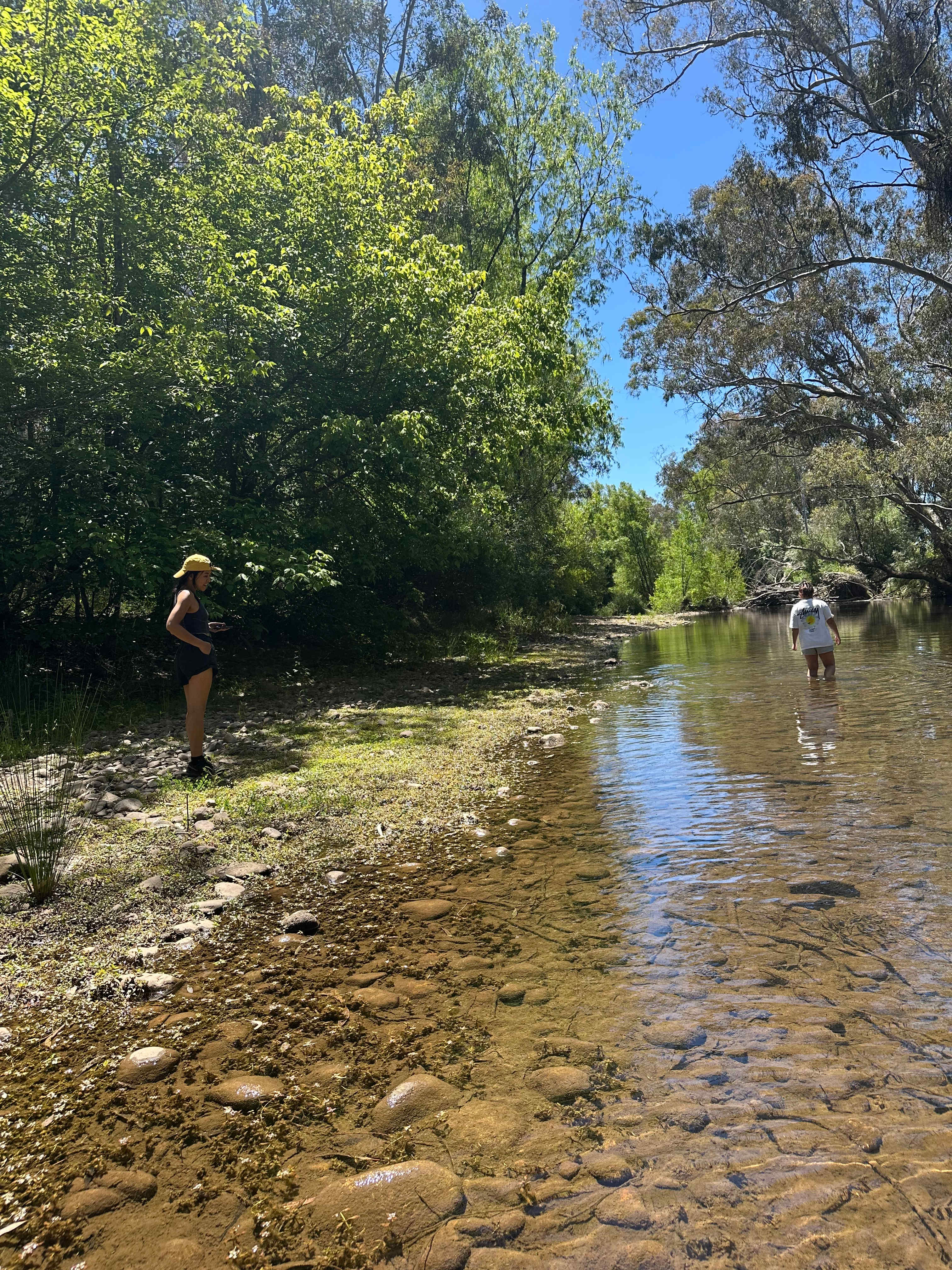 Riverside King Valley