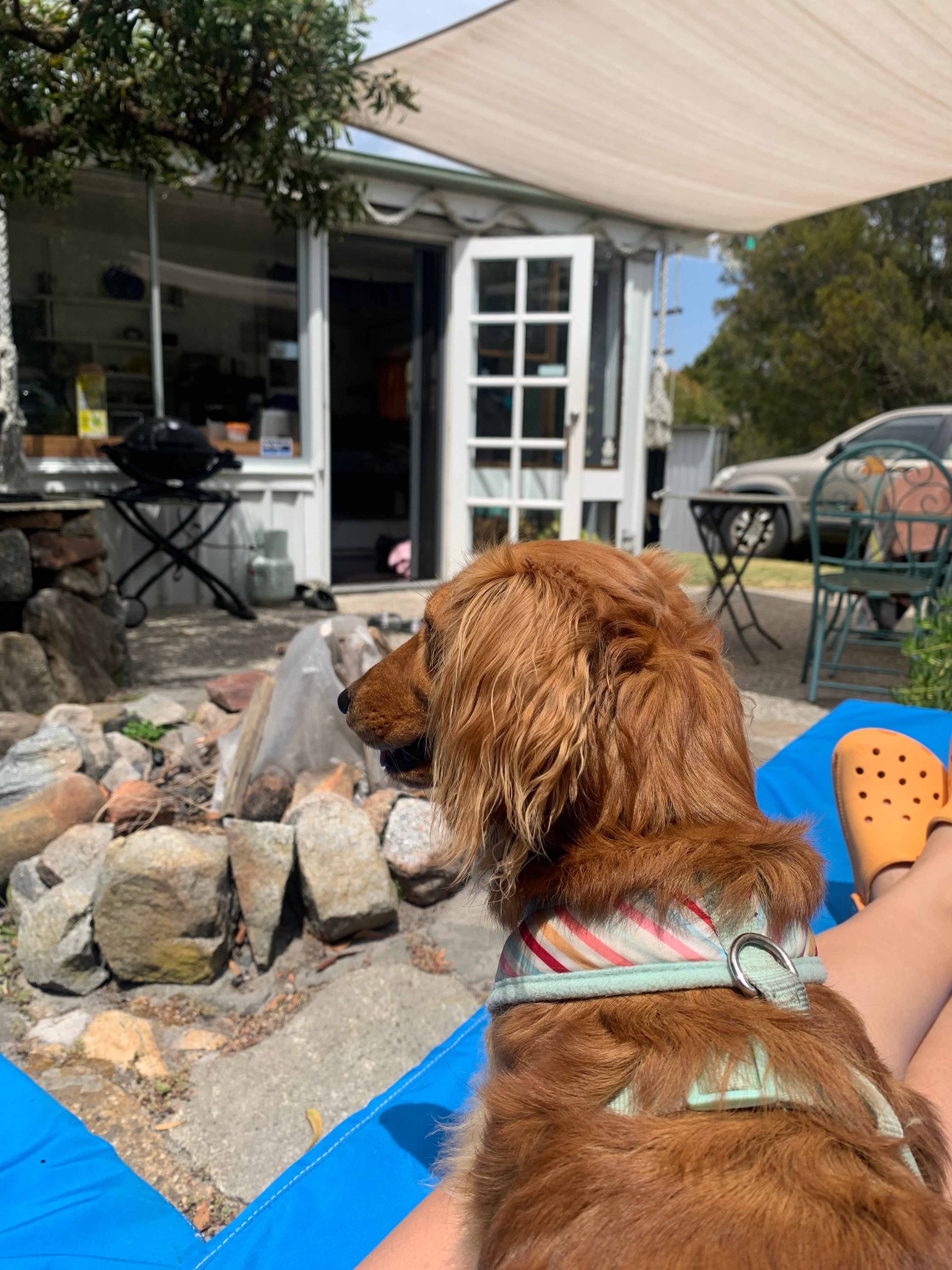 Relaxing in the sun on the outdoor daybed.